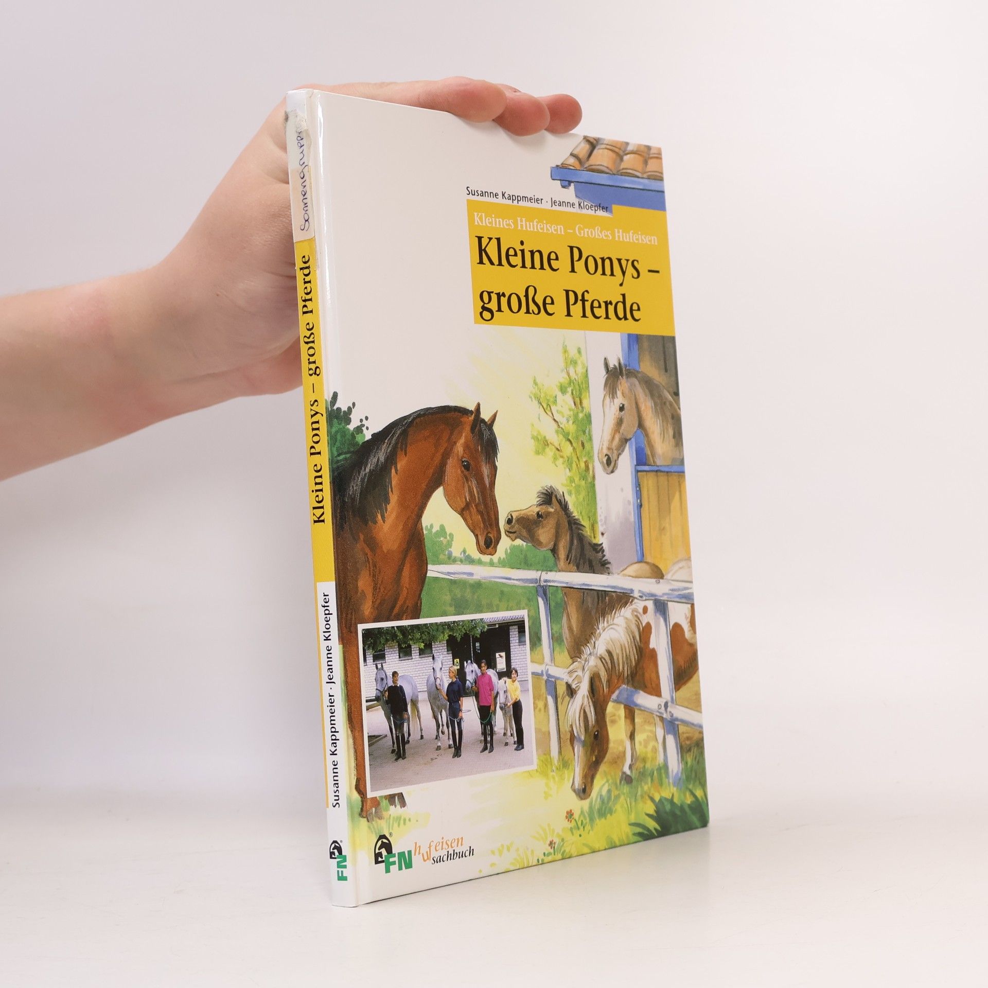 Kleine Ponys - große Pferde