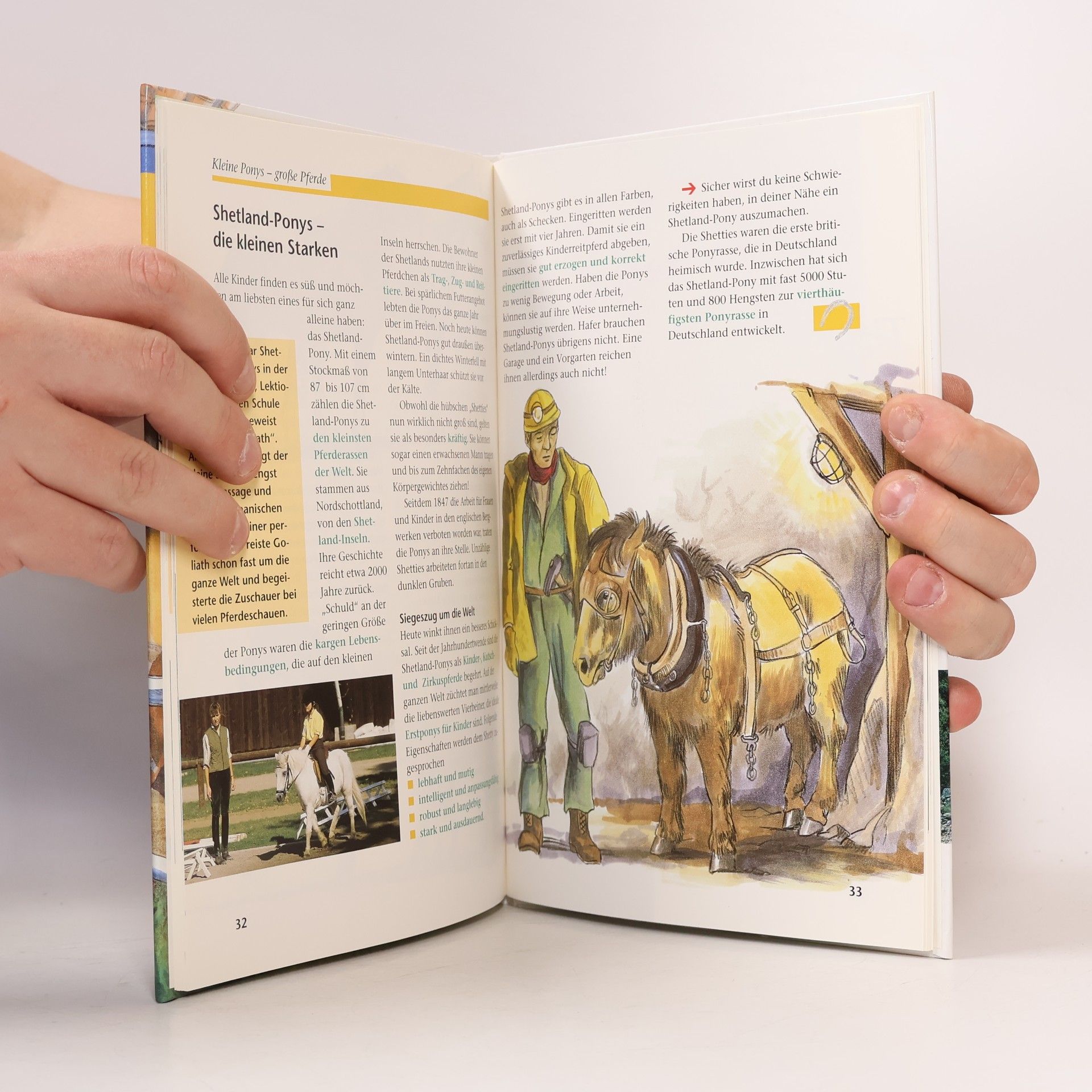 Susanne Kappmeier Kleine Ponys - große Pferde