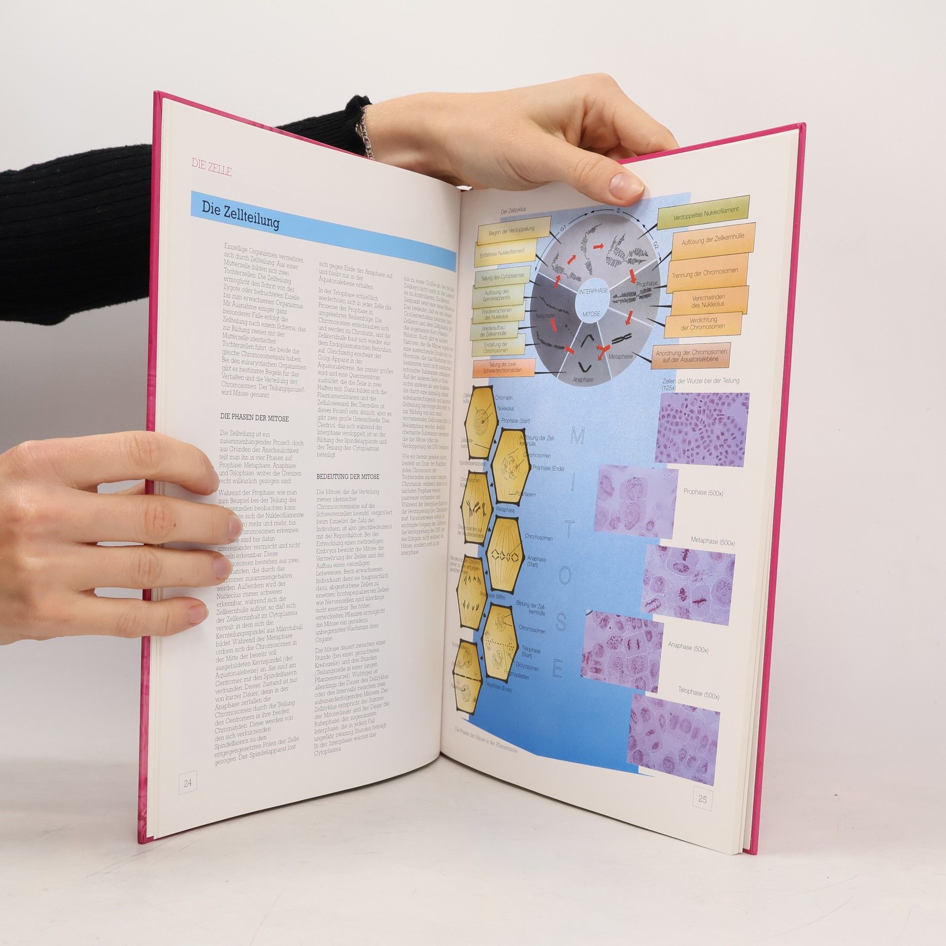 Jörg Meidenbauer Biologie