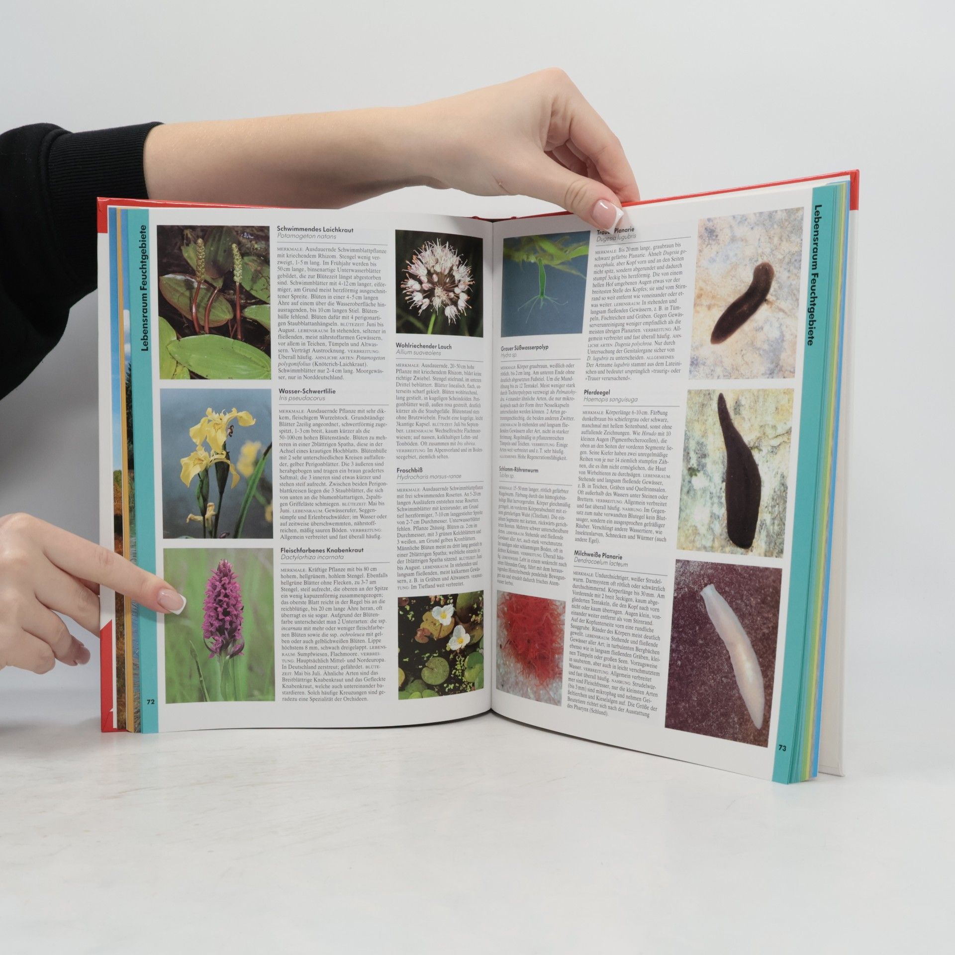 Various authors Das grosse Buch der Natur