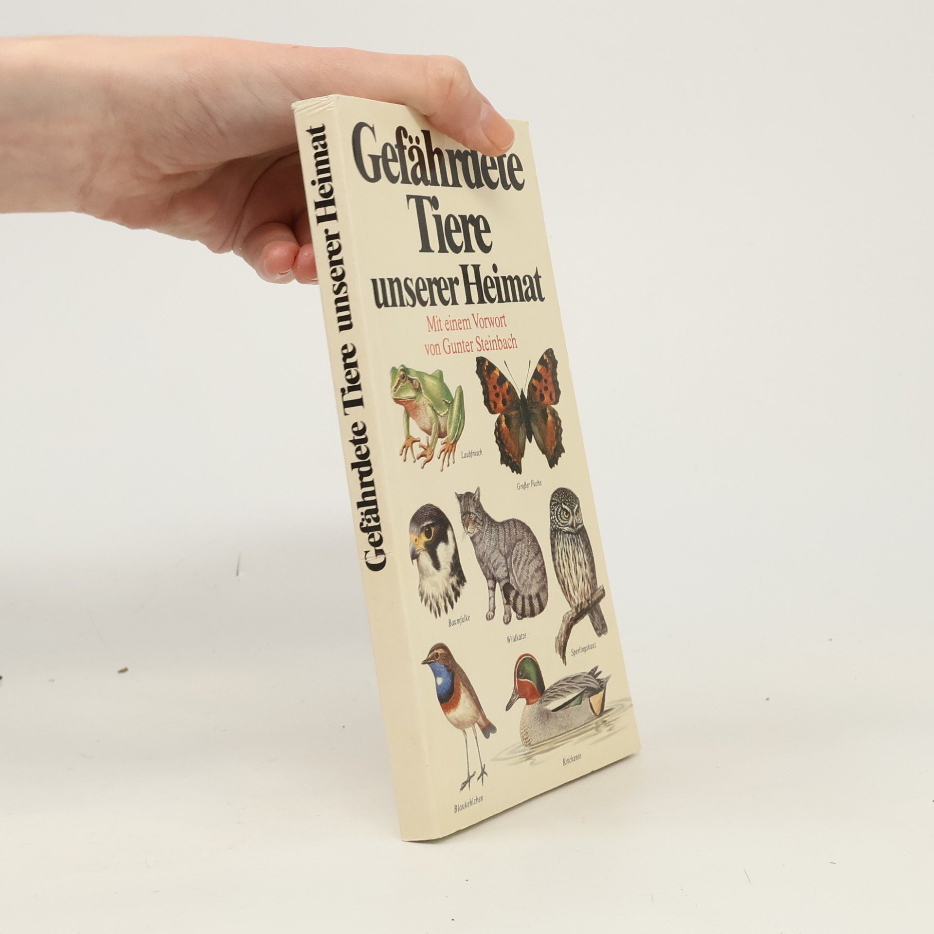 Autorenkollektiv Gefährdete Tiere unserer Heimat