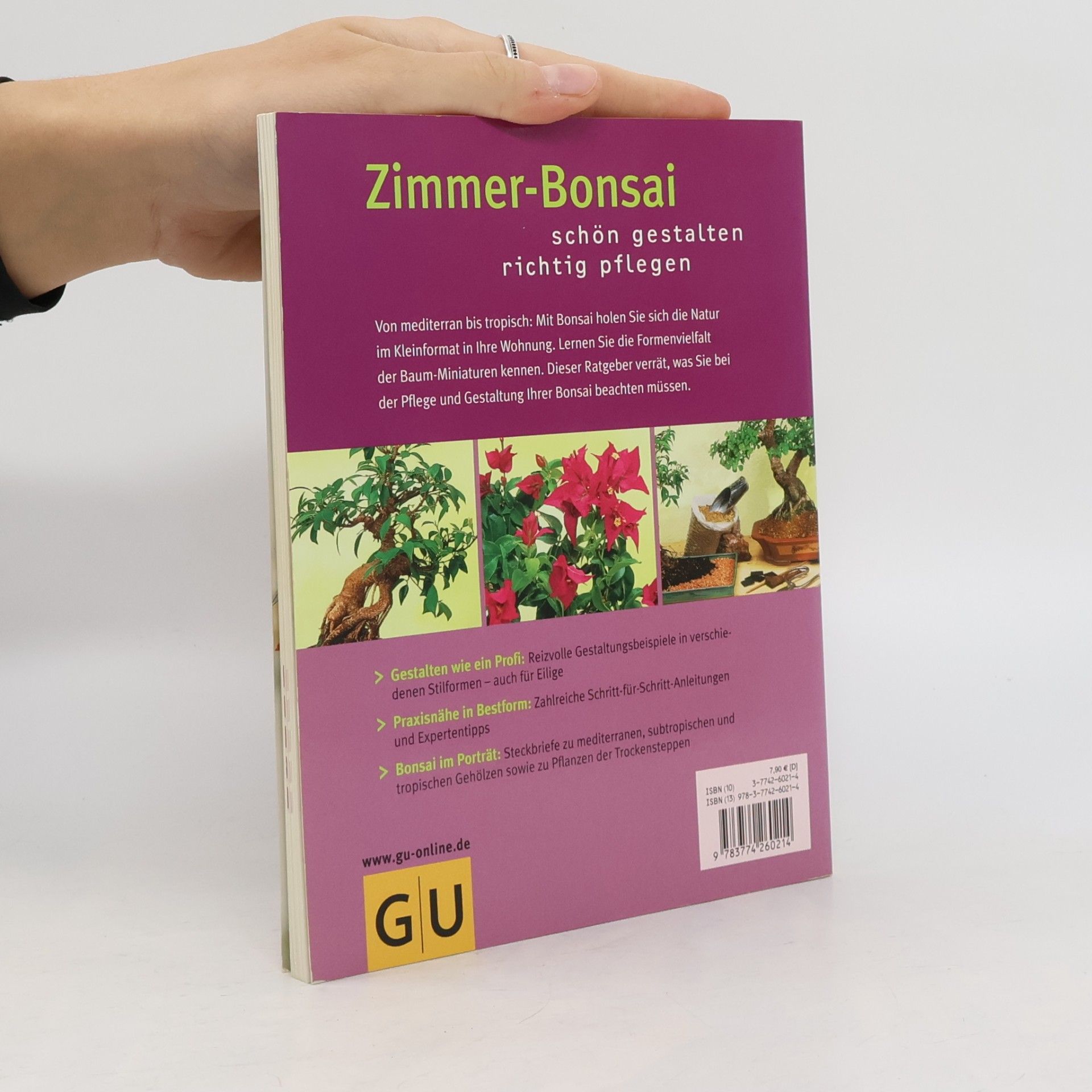 Jochen Pfisterer Zimmer-Bonsai