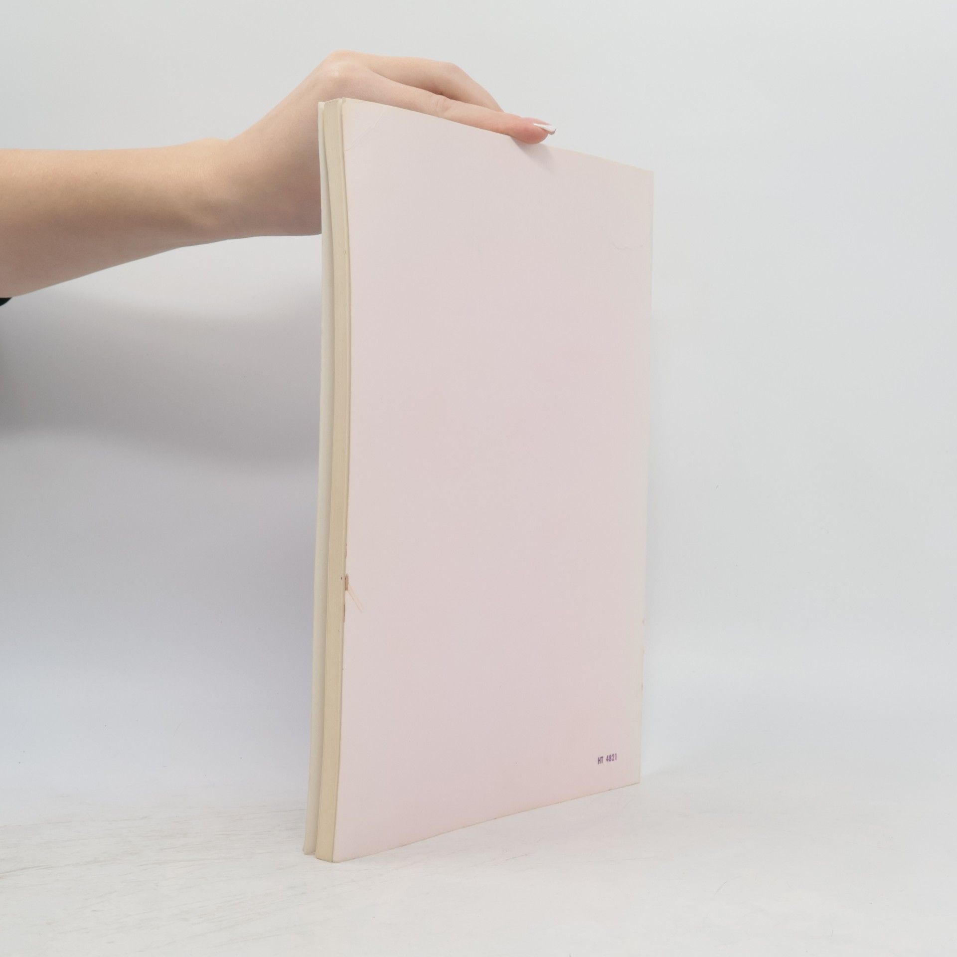 Ingeborg Sauer Hauspflege mit System, Lehrbuch