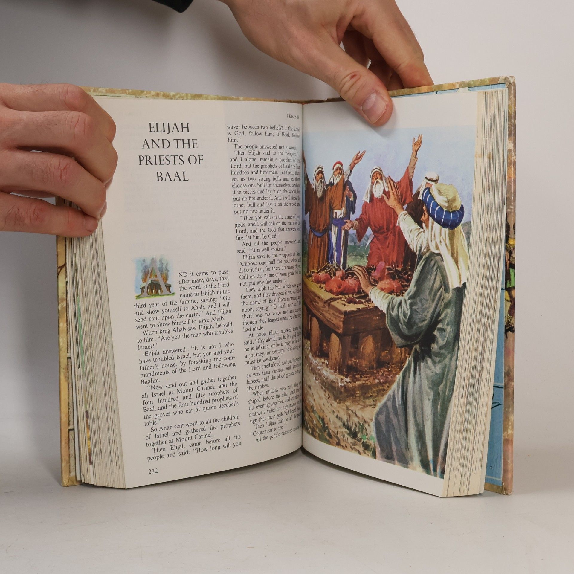 Kolektiv autorů The Children's Bible