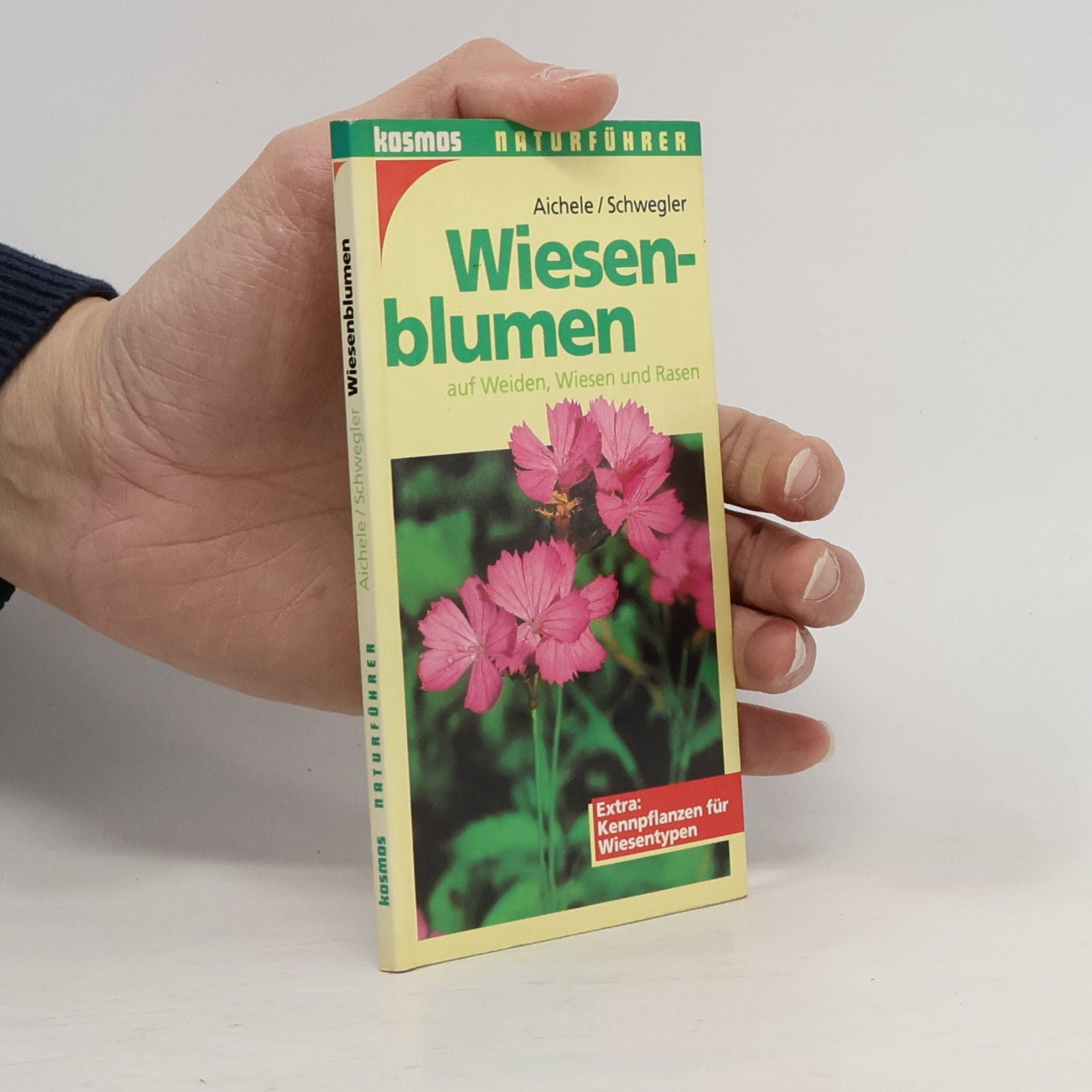 Wiesenblumen