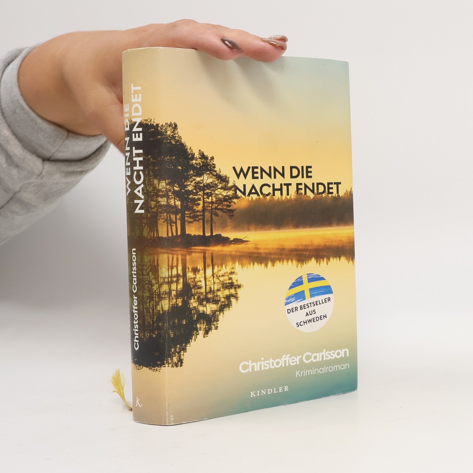 Christoffer Carlsson Wenn die Nacht endet