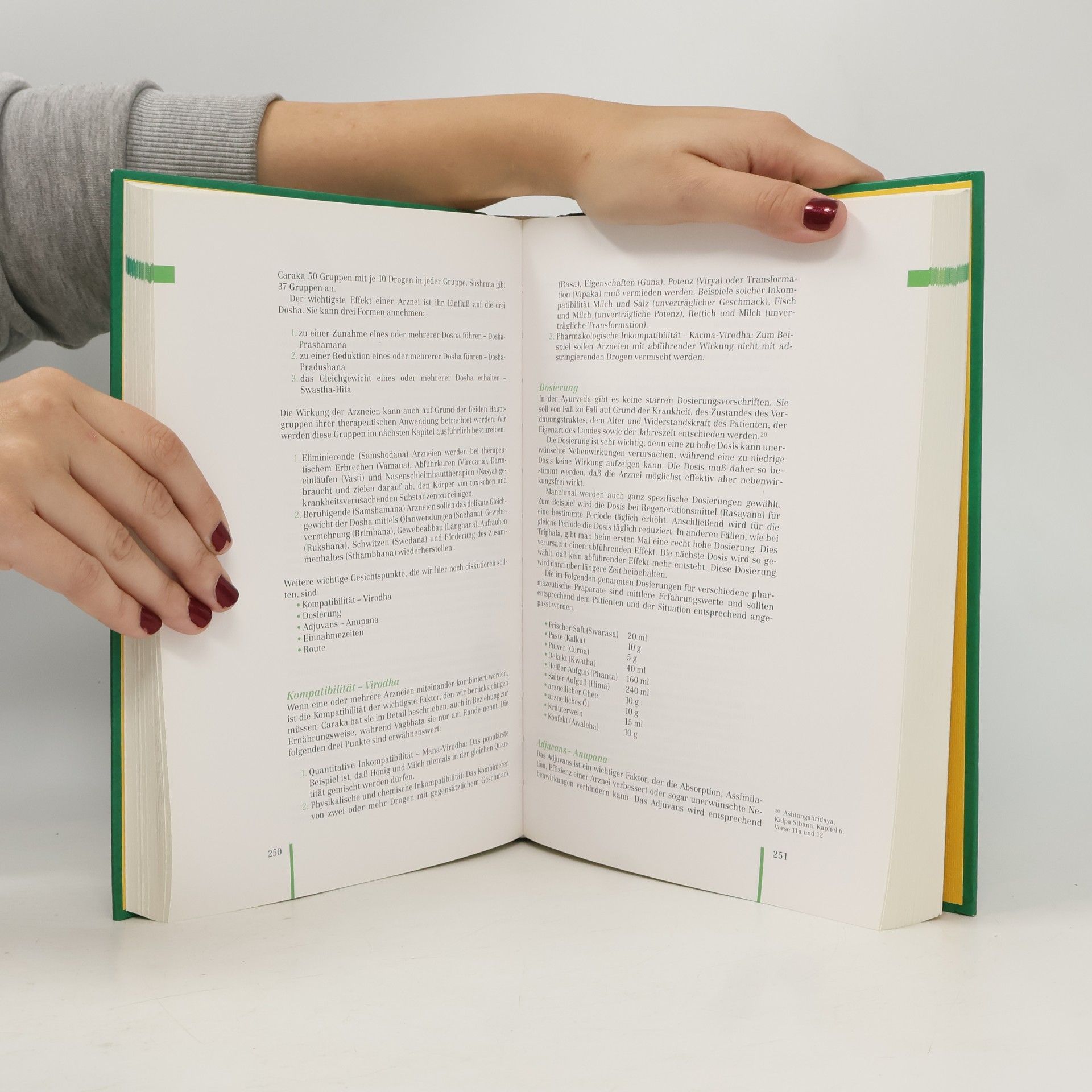 Hans H. Rhyner Das NEUE Ayurveda Praxis Handbuch