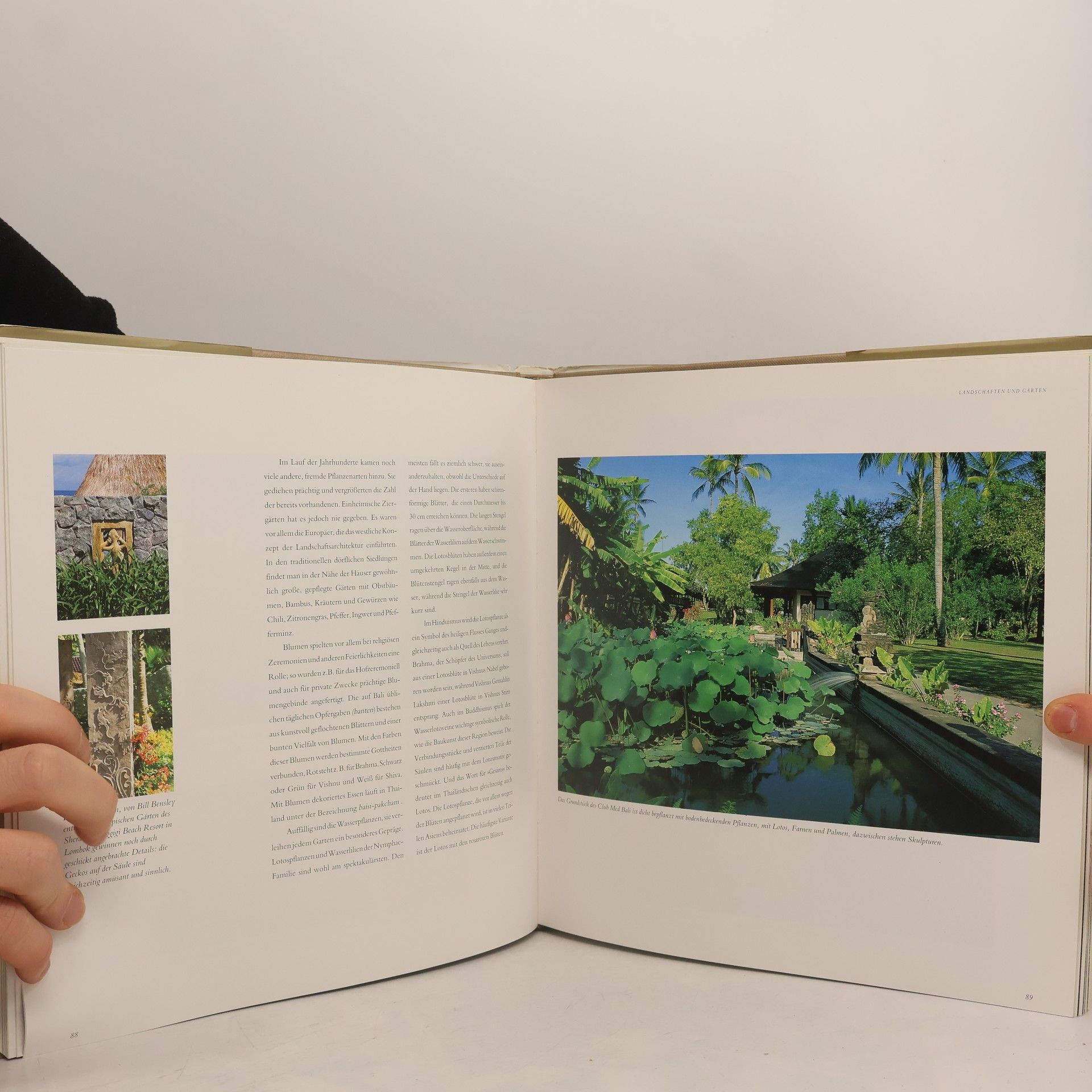 Hock Beng Tan Tropische Architektur und Interieurs : traditionsbewusstes Design aus Indonesien, Malaysia, Singapur, Thailand