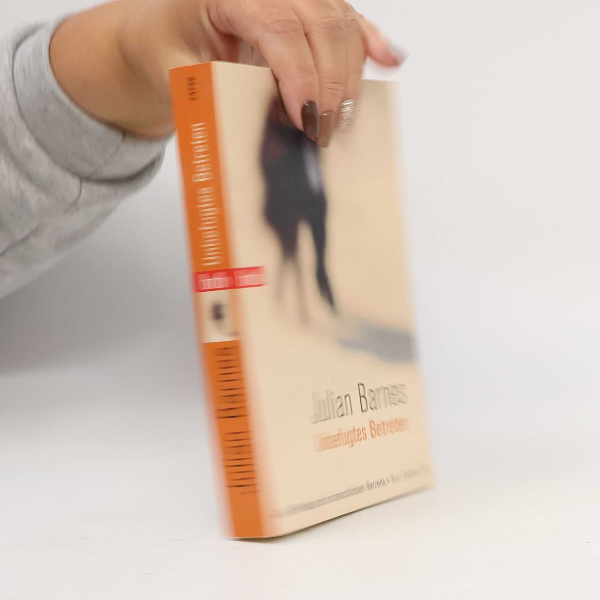 Julian Barnes Unbefugtes Betreten