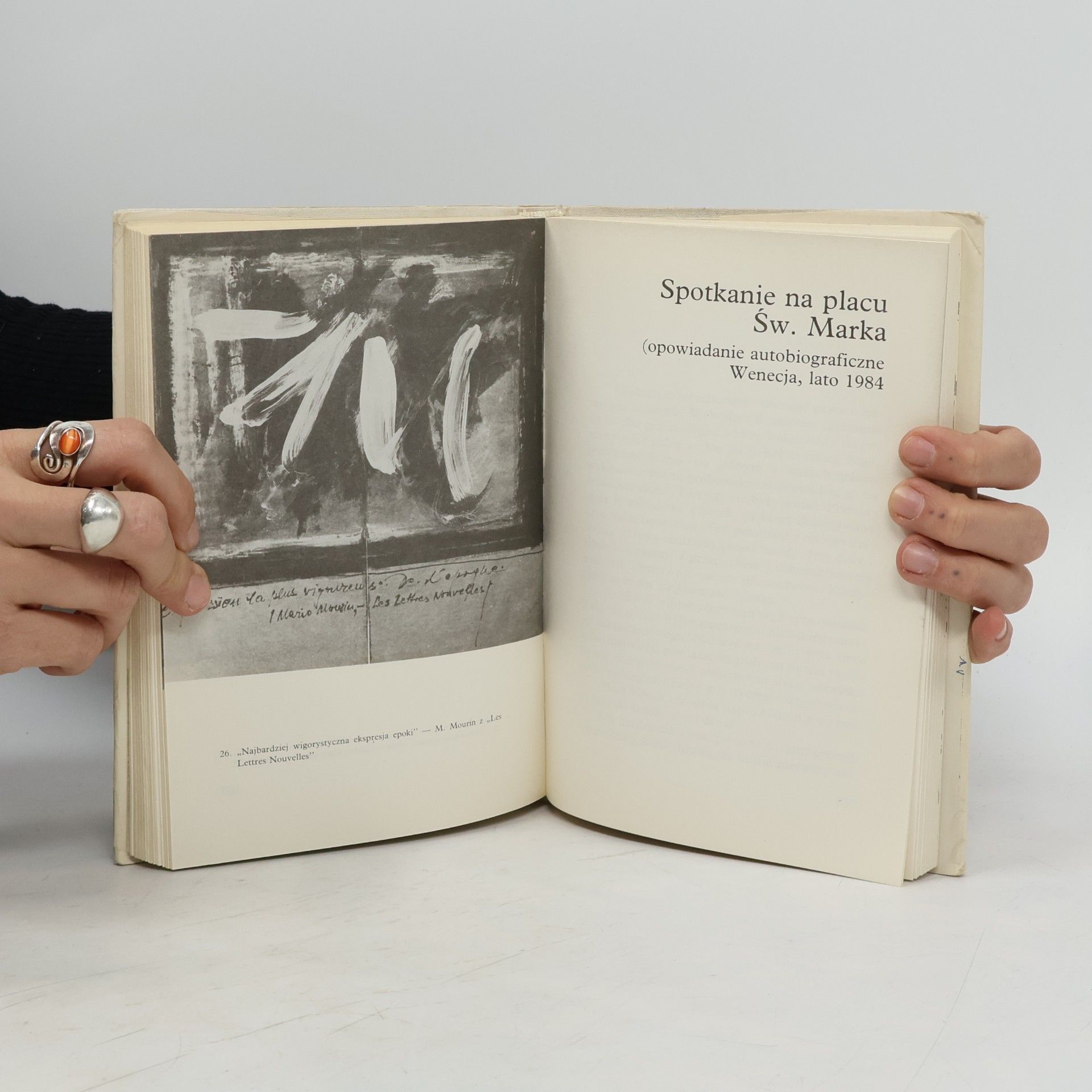 Kazimir Glaz Gombrowicz w Vence, i inne wspomnienia