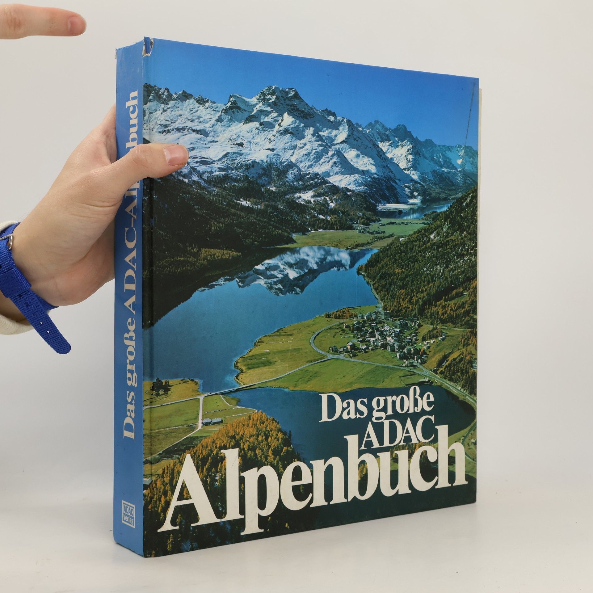 Autores varios Das grosse ADAC-Alpenbuch
