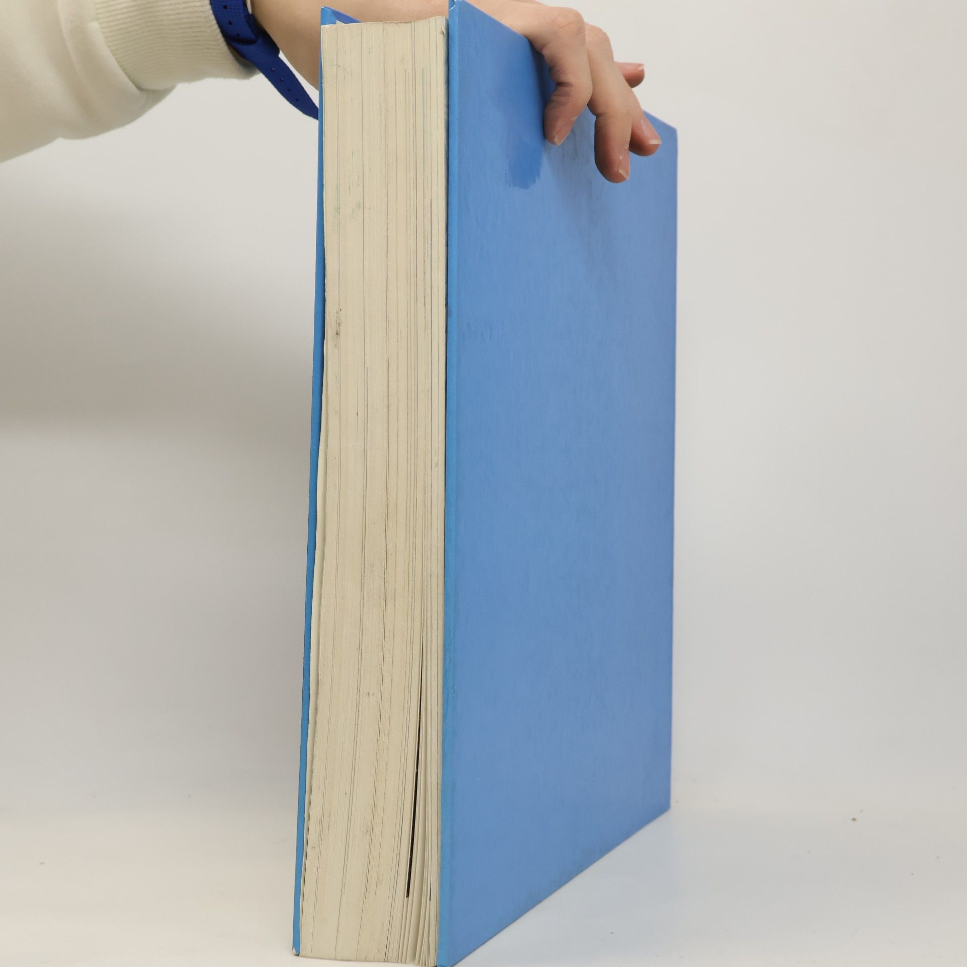 Autores varios Das grosse ADAC-Alpenbuch