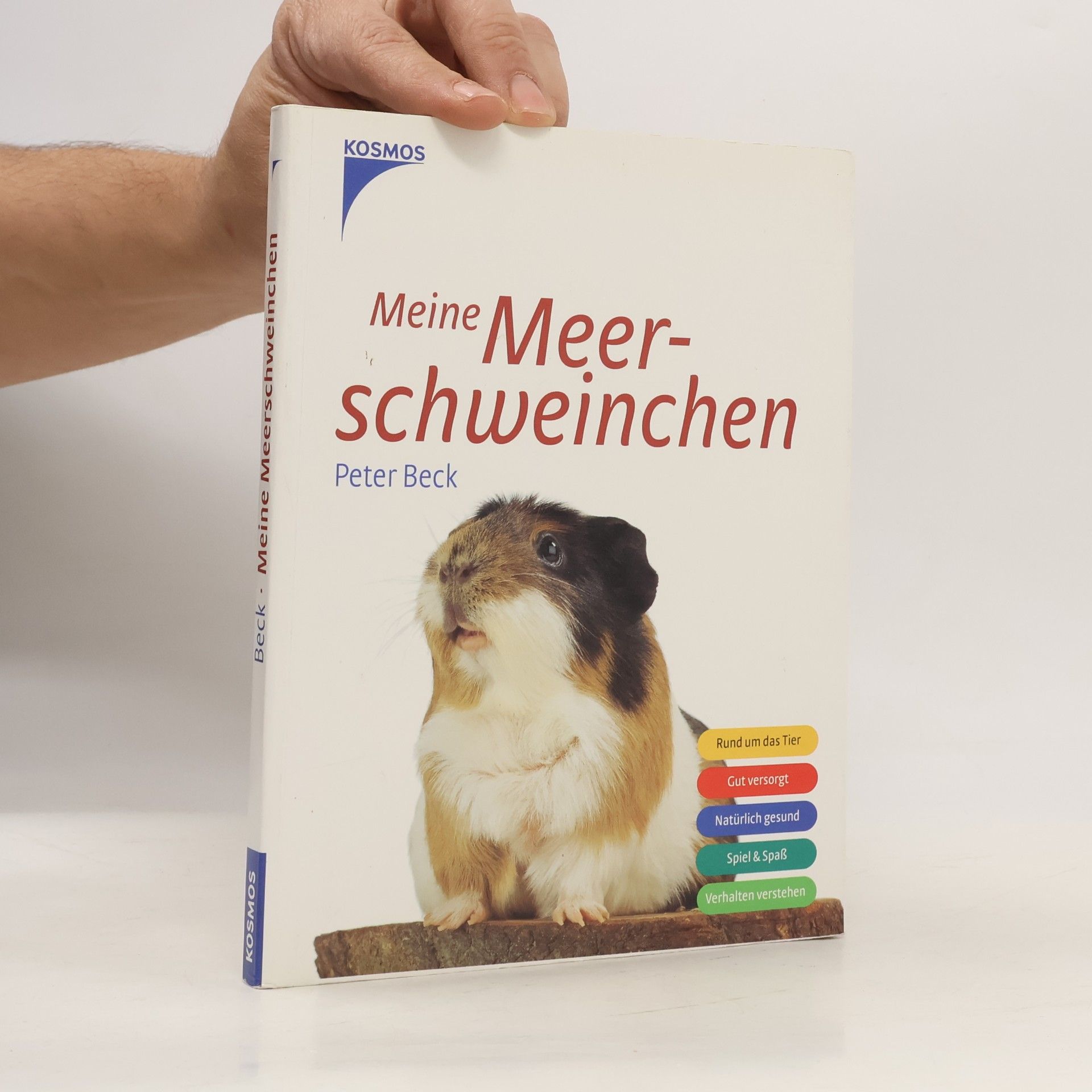 Meine Meerschweinchen