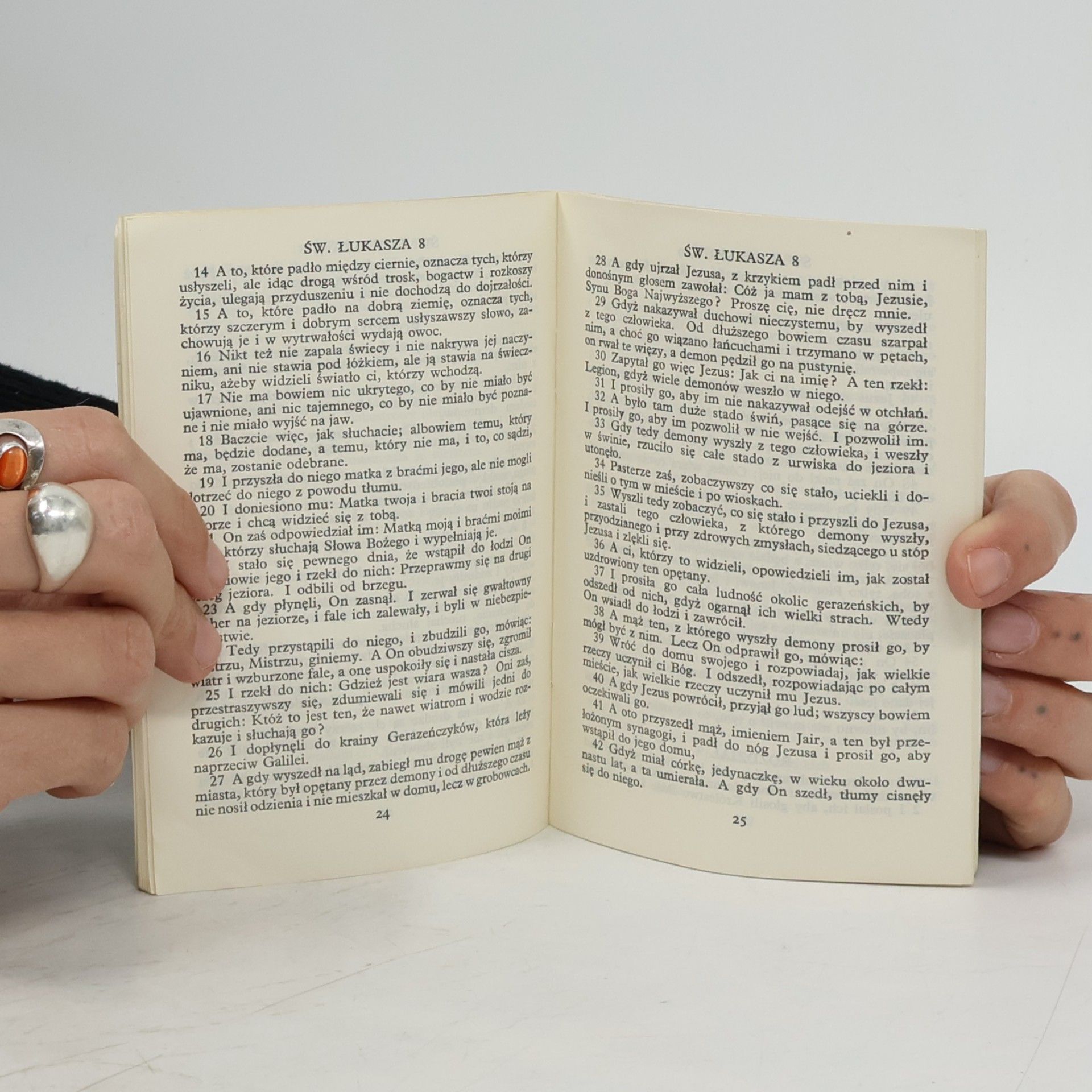 Kolektiv autorů EWANGELIA WEDŁUG ŁUKASZA