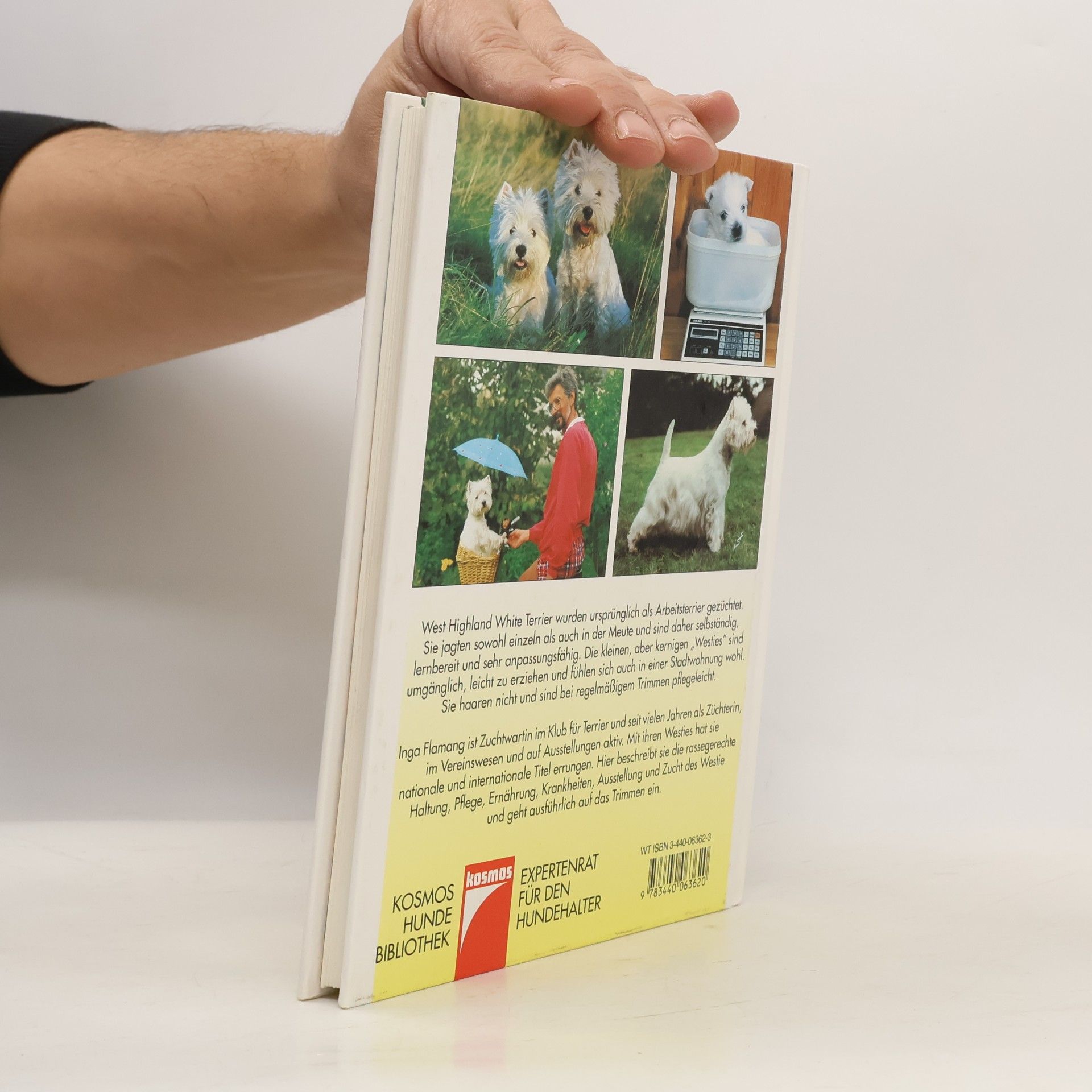 Inga Flamang West-Highland-White-Terrier