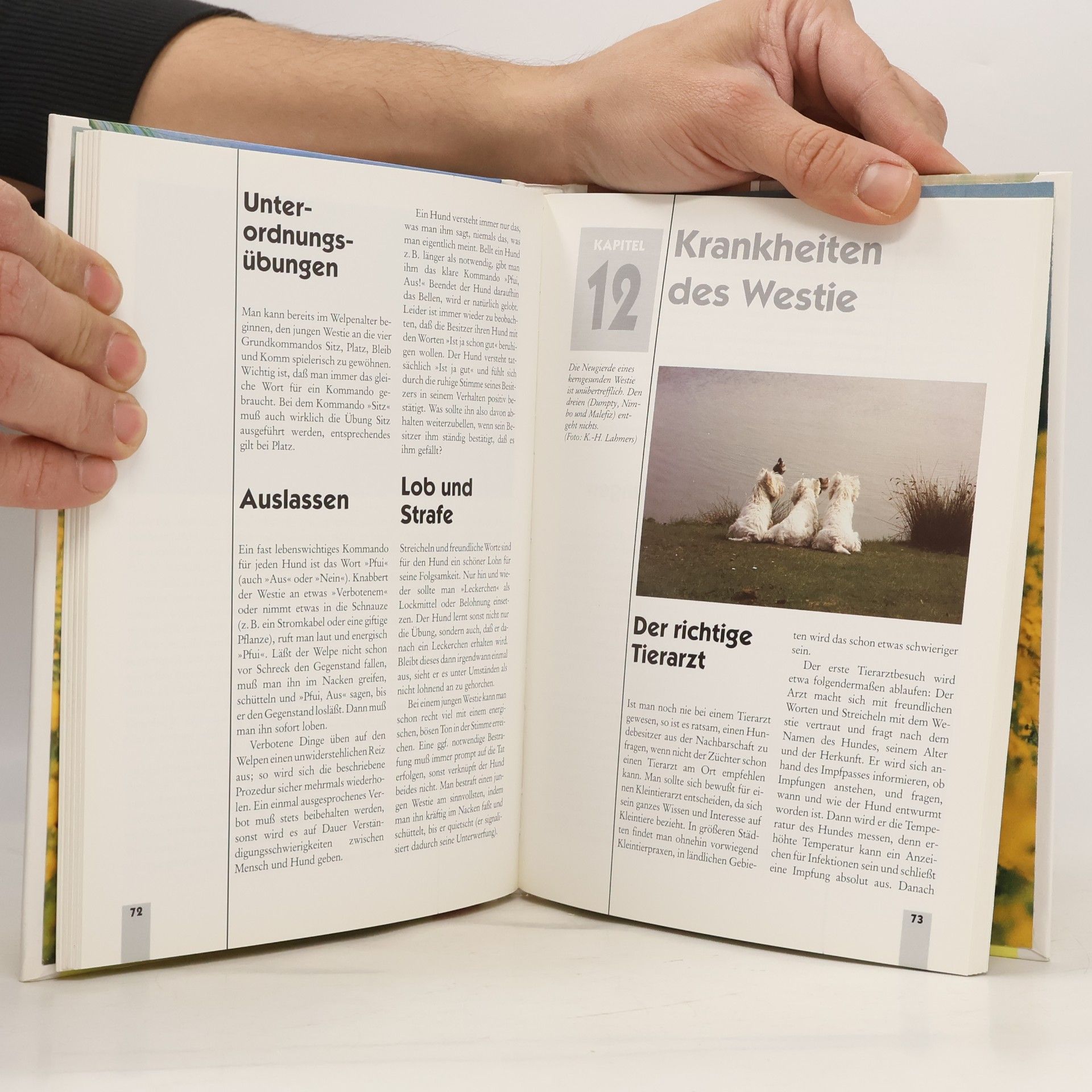 Inga Flamang West-Highland-White-Terrier