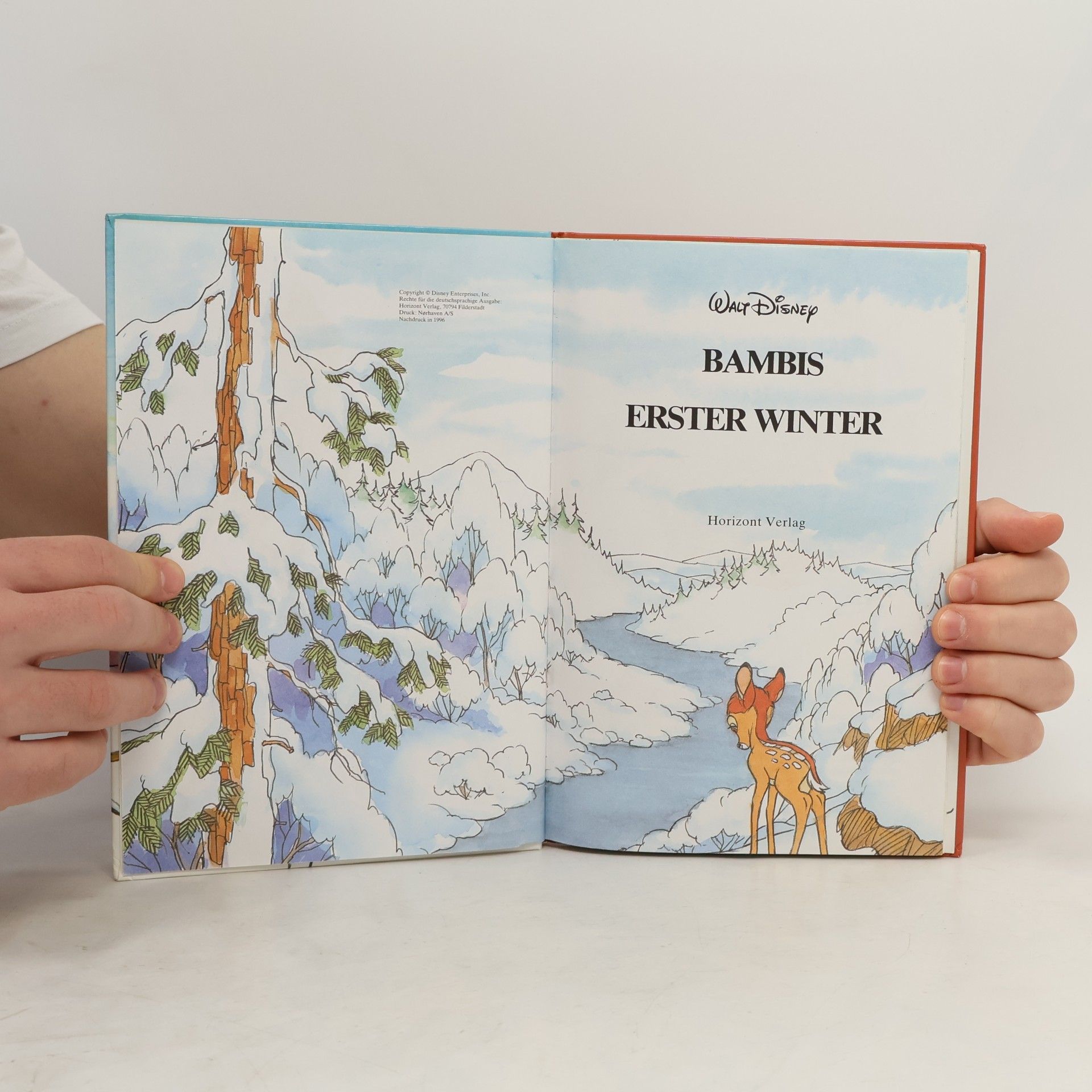 Autorenkollektiv Bambis erster Winter
