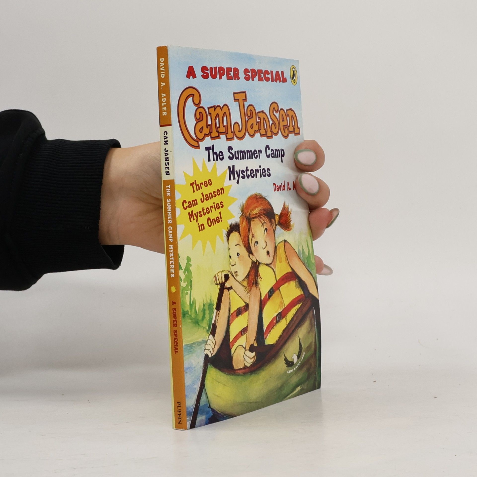 Cam Jansen and the Summer Camp Mysteries