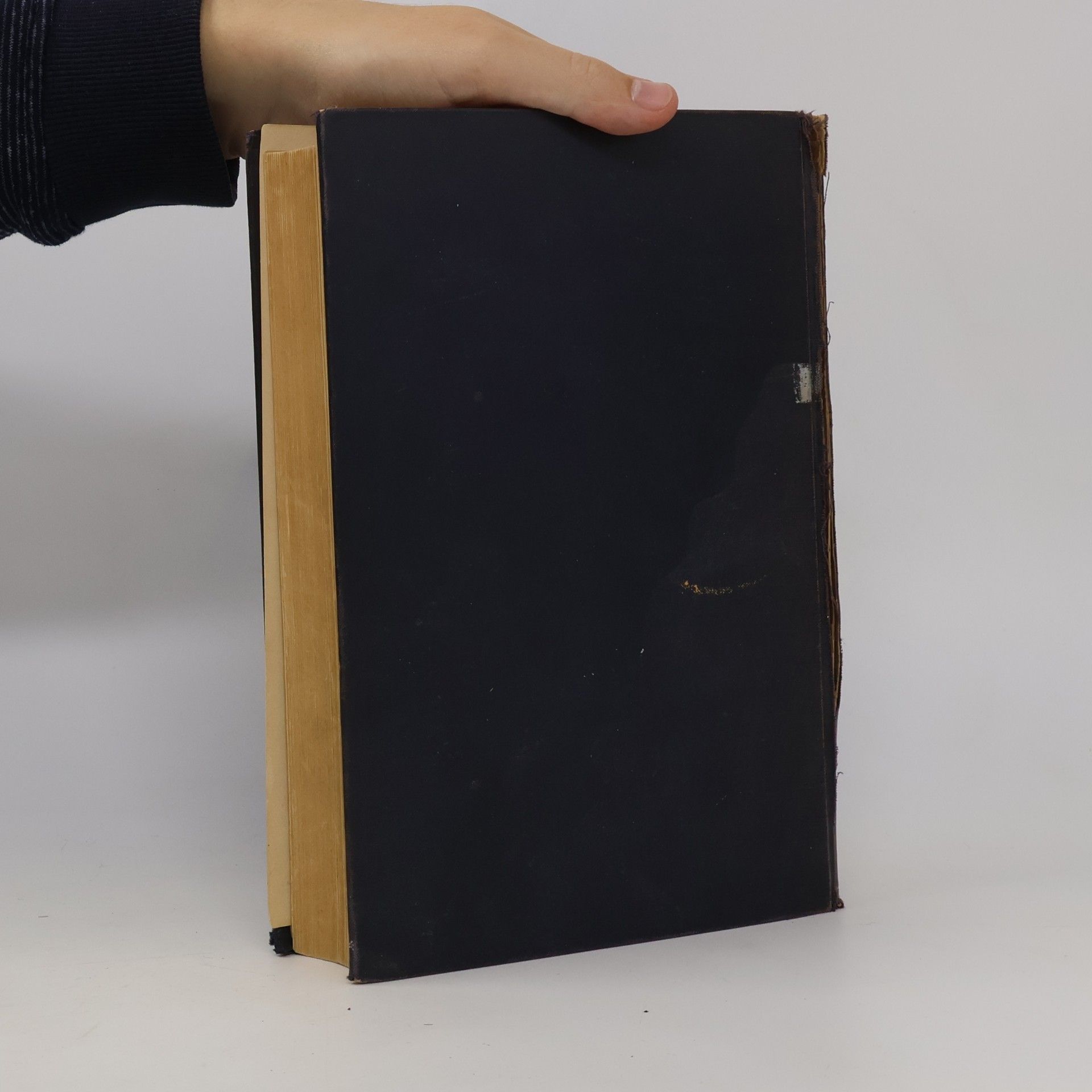 Oswald Bumke HANDBUCH DER GEISTESKRANKHEITEN