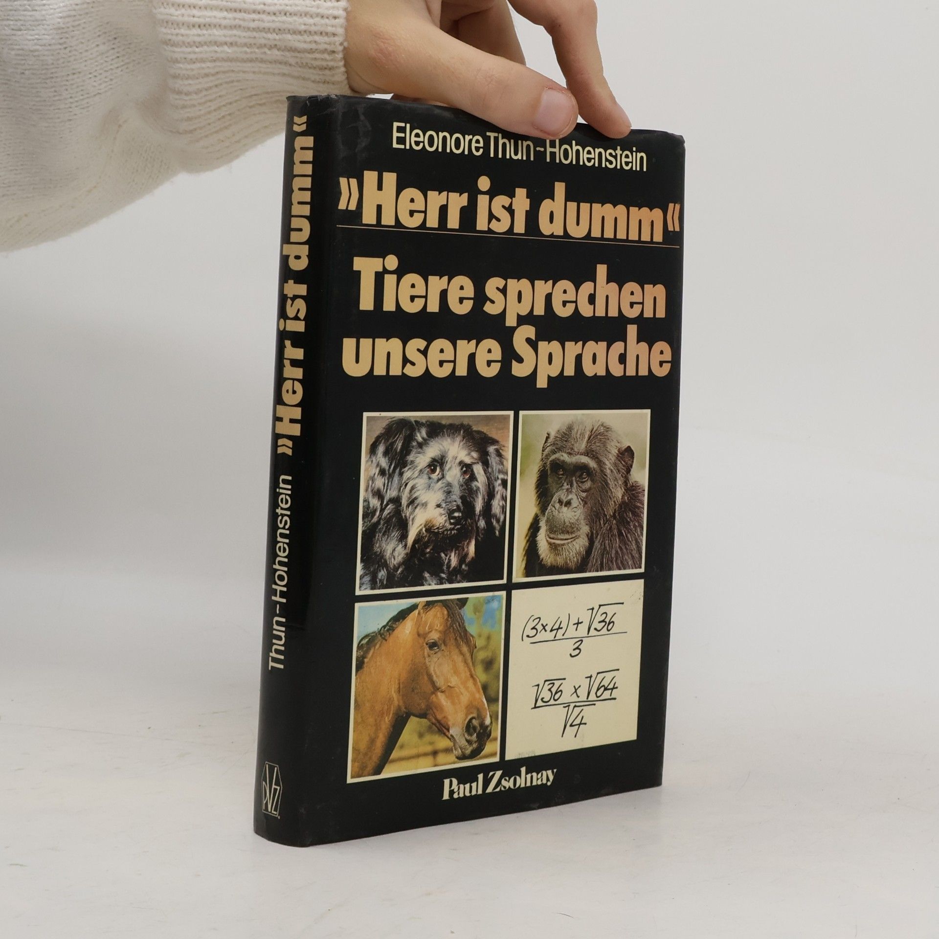 "Herr ist dumm"