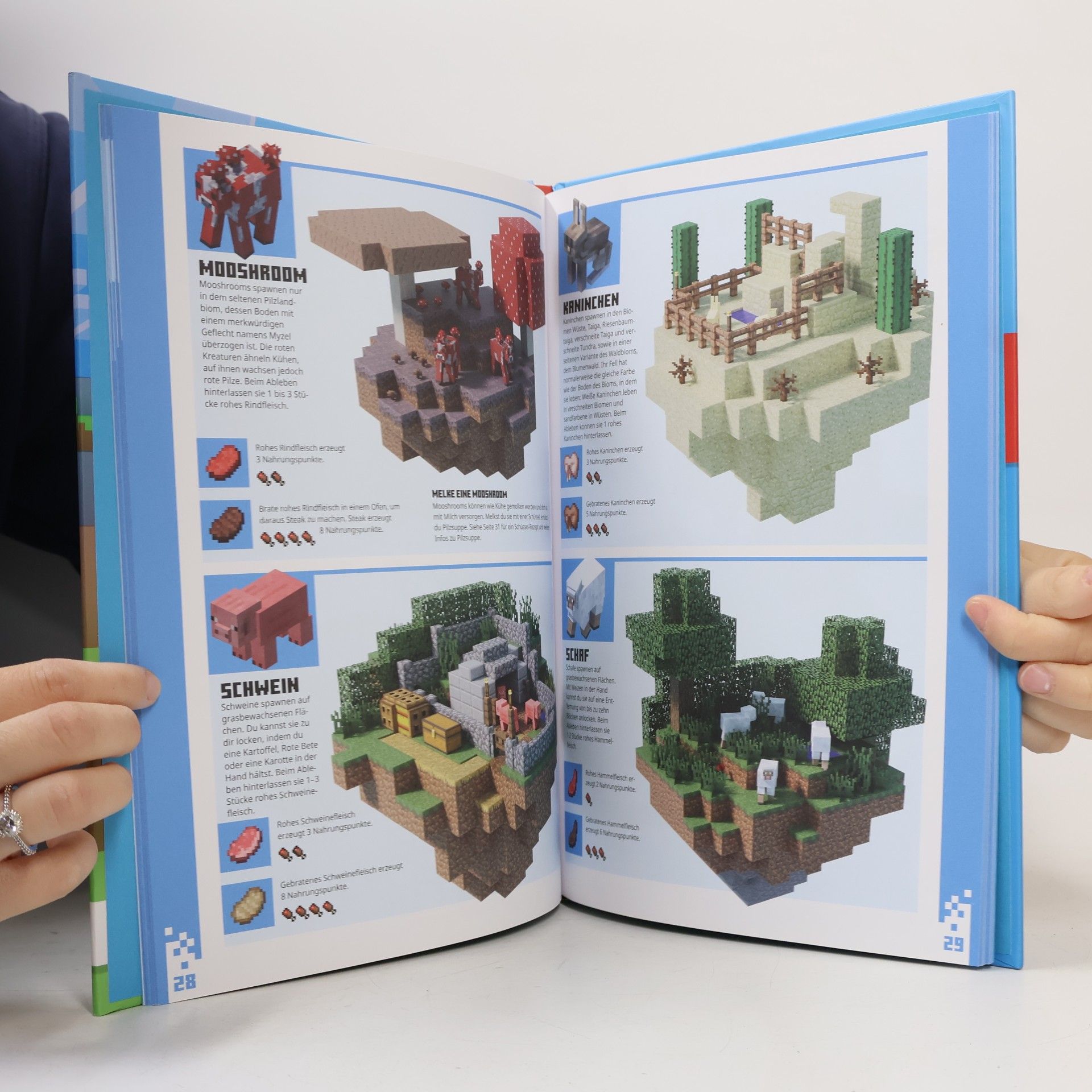 Stephanie Milton Minecraft für Anfänger