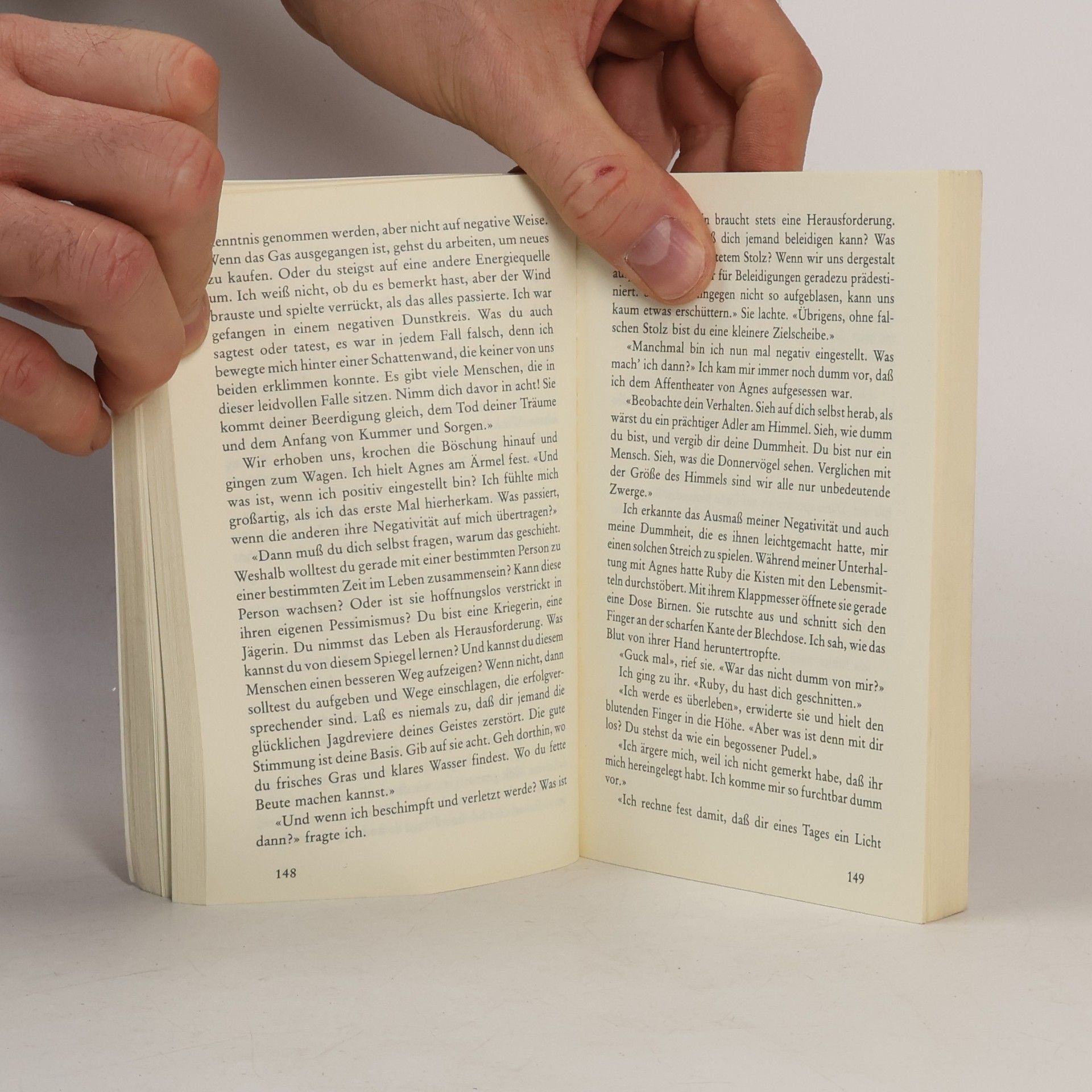 Lynn V. Andrews Die Sternenfrau