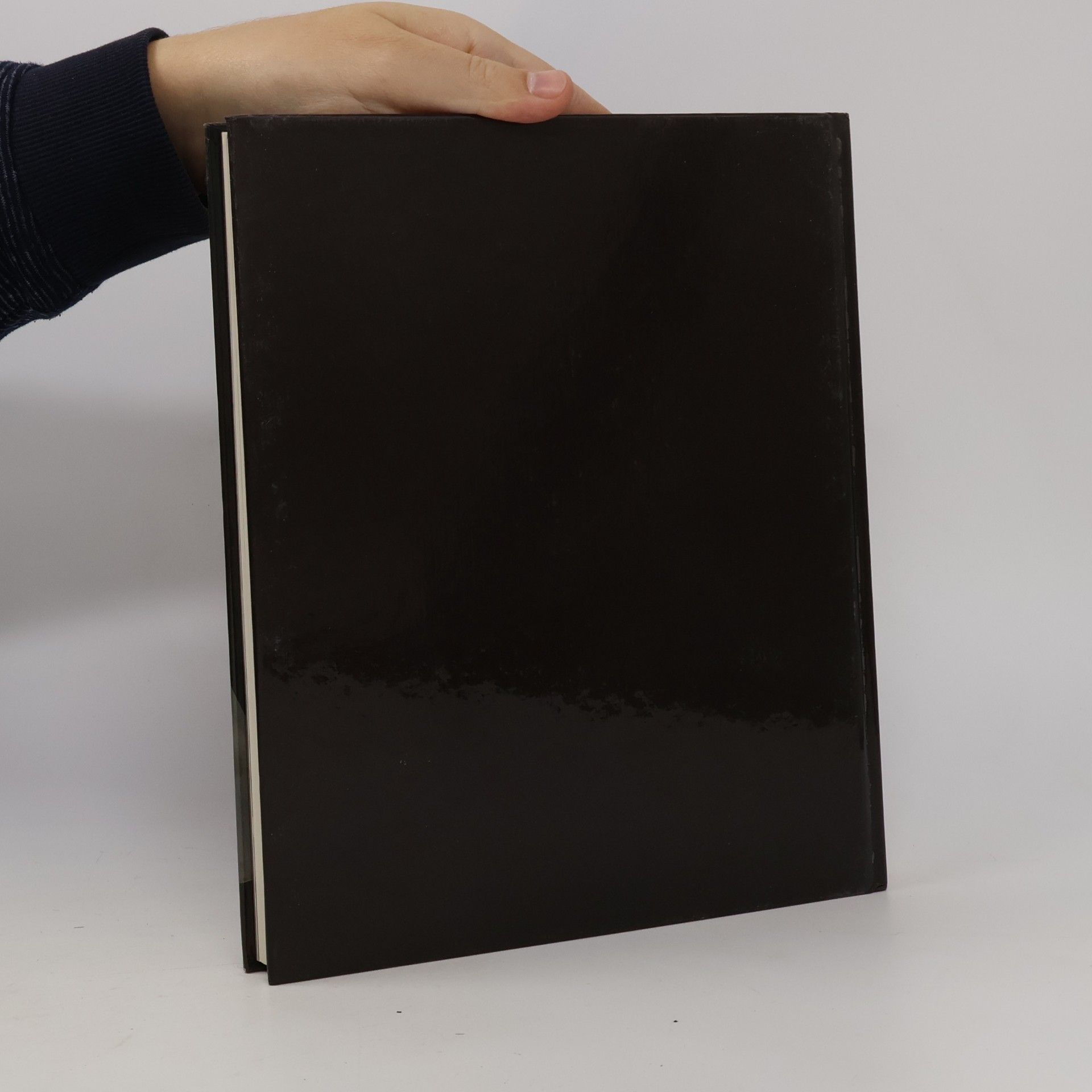 John Paul Porter Arbeiten mit Metall. Handbuch des Heimwerkers