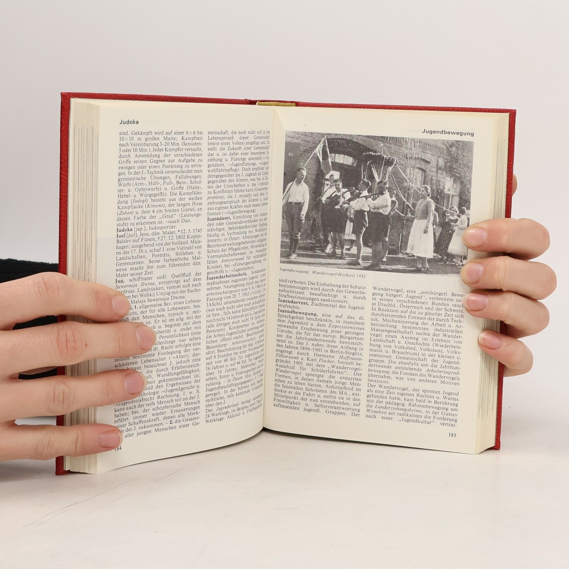 Harald Bukor Das moderne Lexikon 9