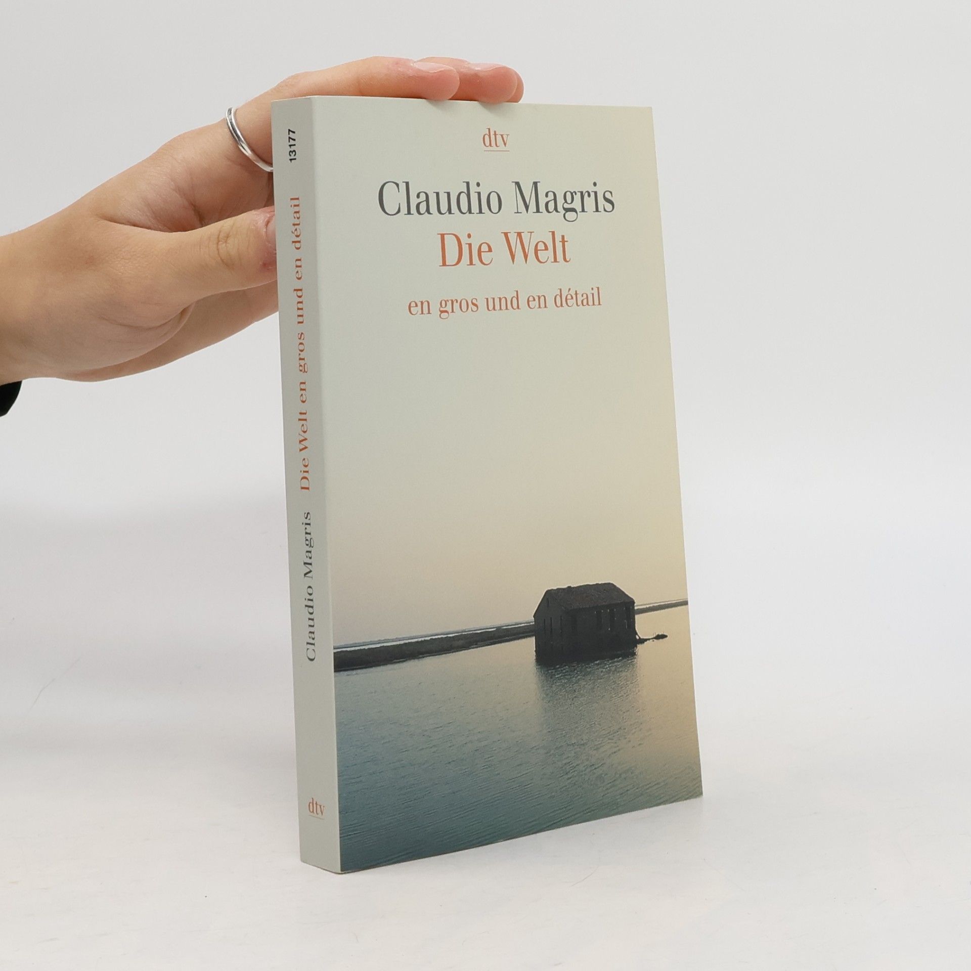 Claudio Magris Die Welt en gros und en détail