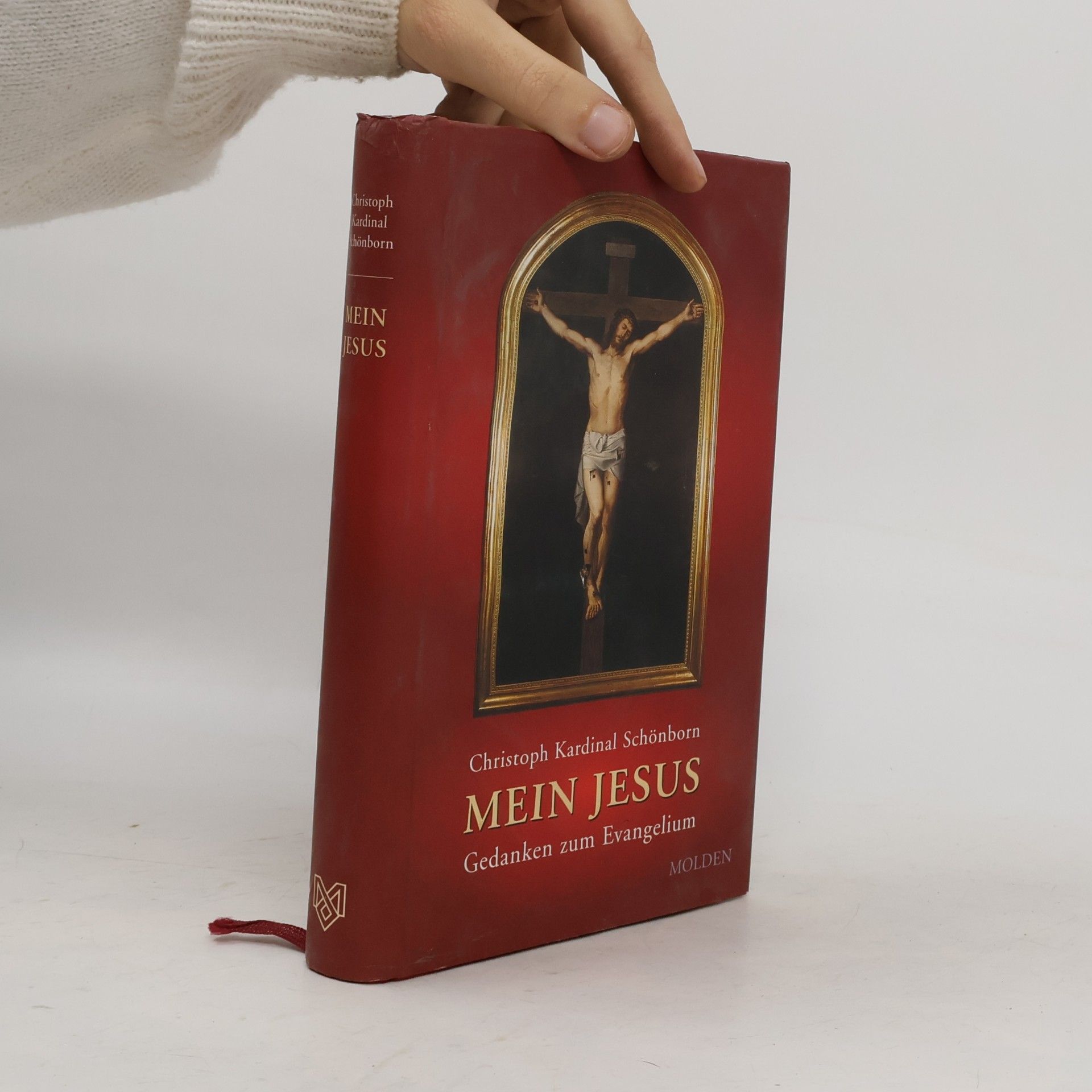 Mein Jesus. Gedanken zum Evangelium