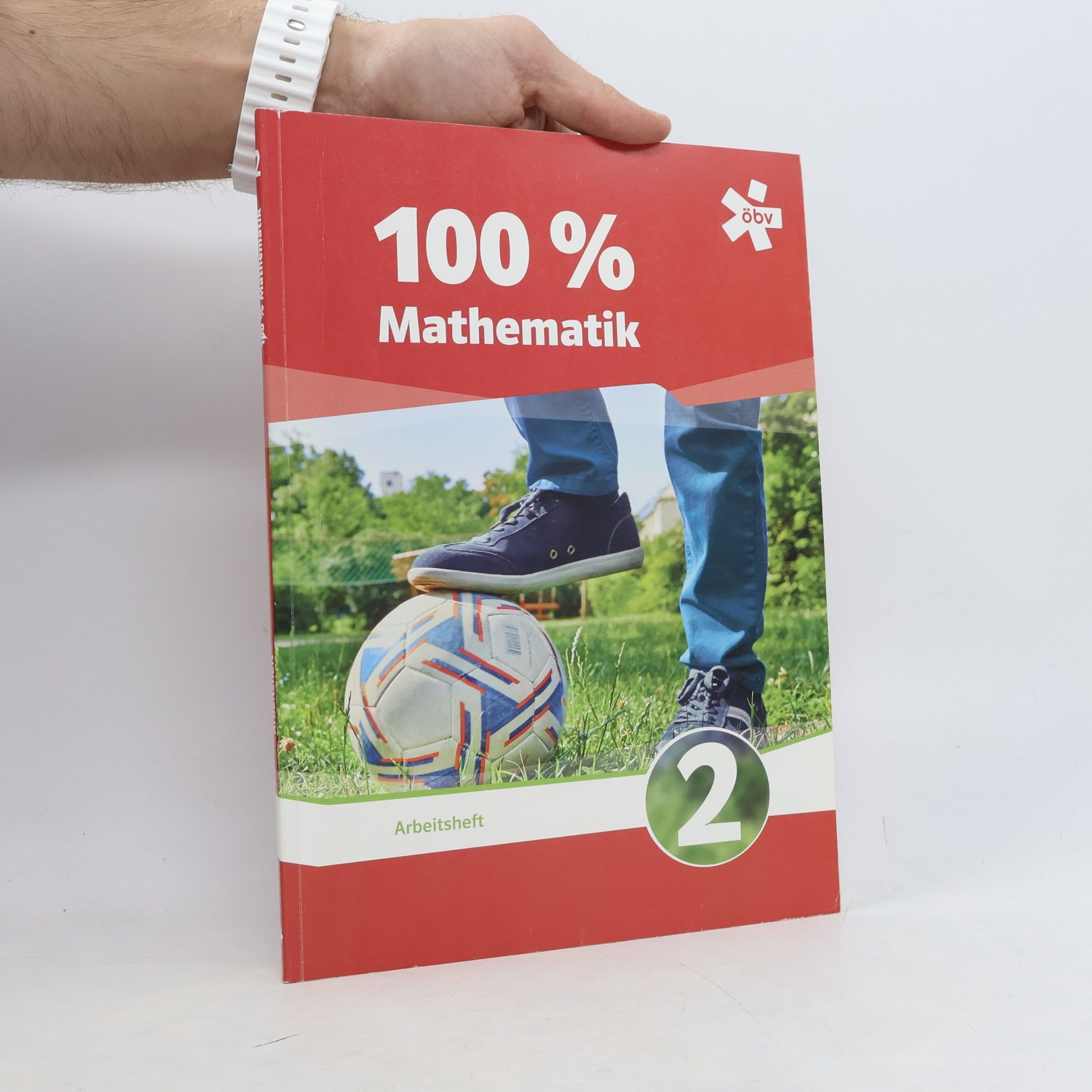 100% Mathematik 2