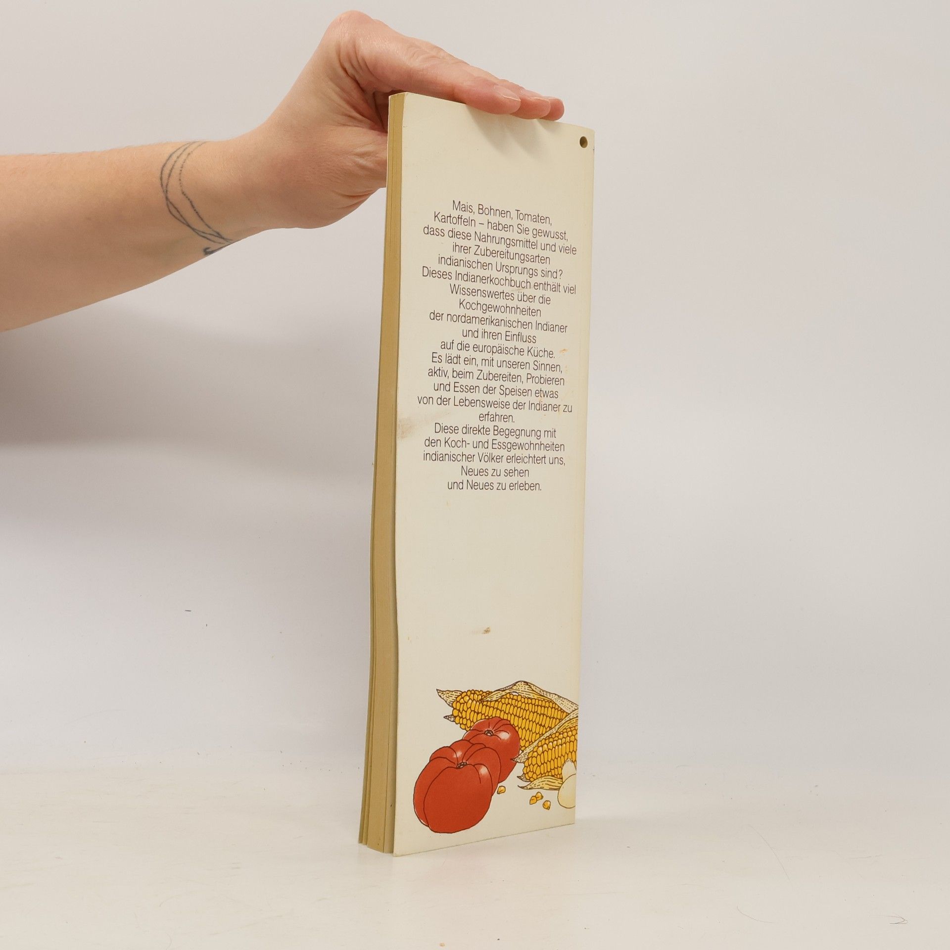 Eva Bechtler-Vosečková Indianer-Kochbuch