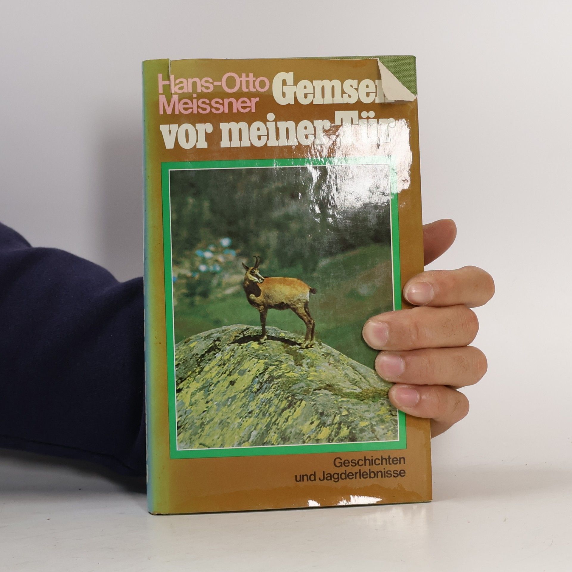 Hans-Otto Meissner Gemsen vor meiner Tür