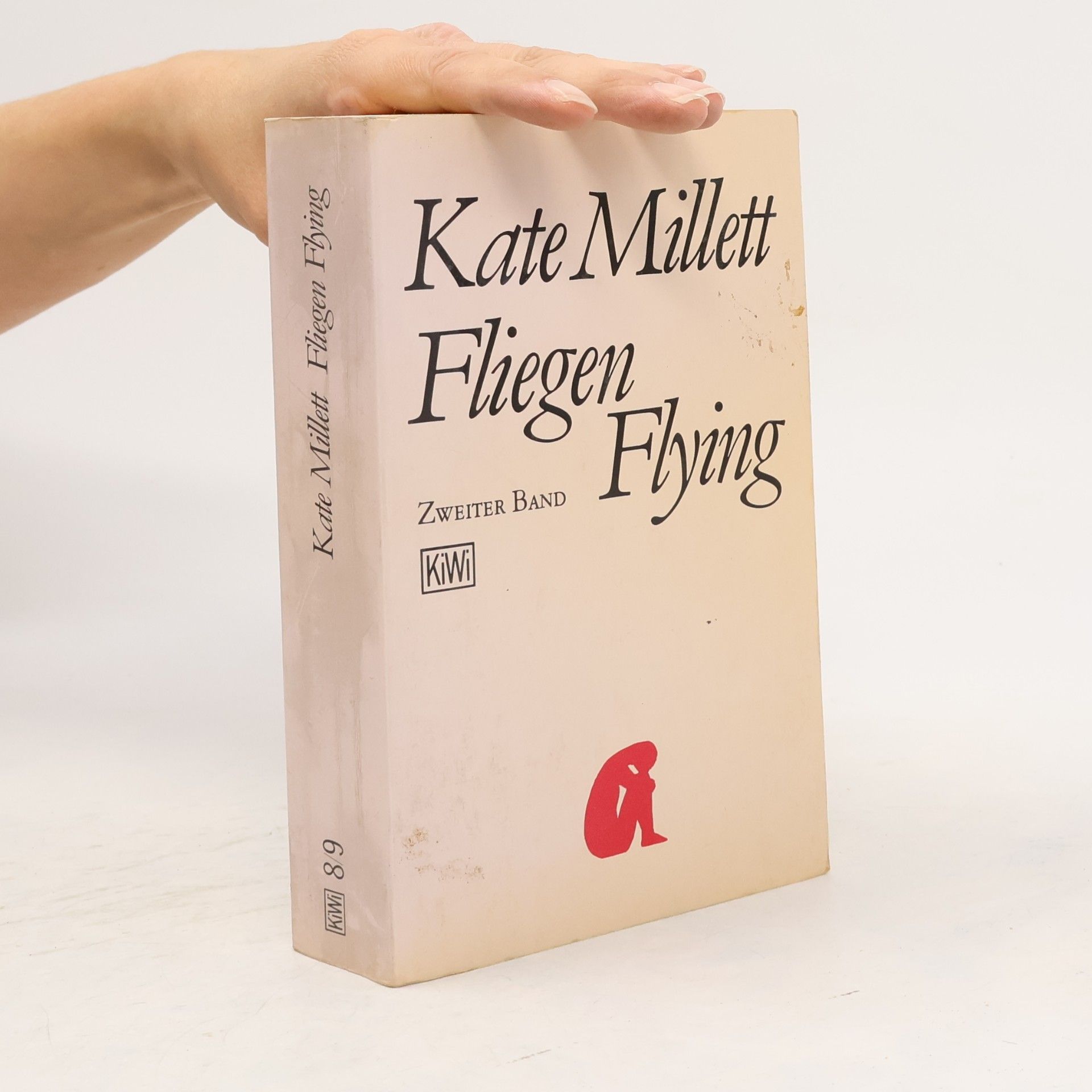 Fliegen Flying 2
