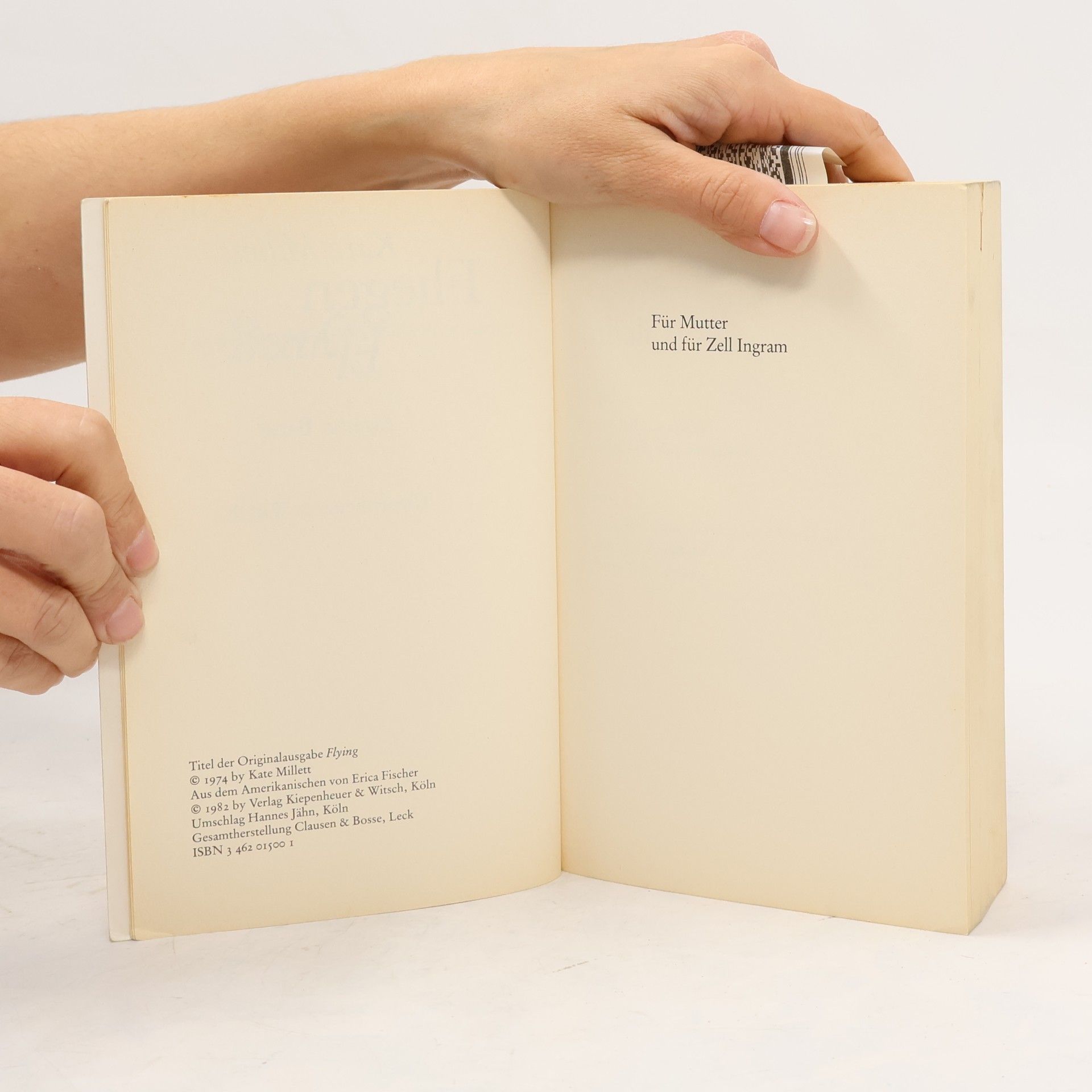 Kate Millett Fliegen Flying 2