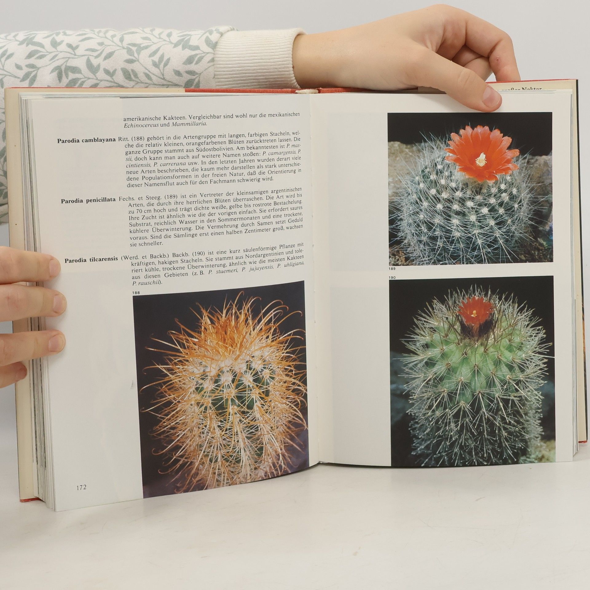 Jan Říha Welt der Kakteen und anderer Sukkulenten in Farbe