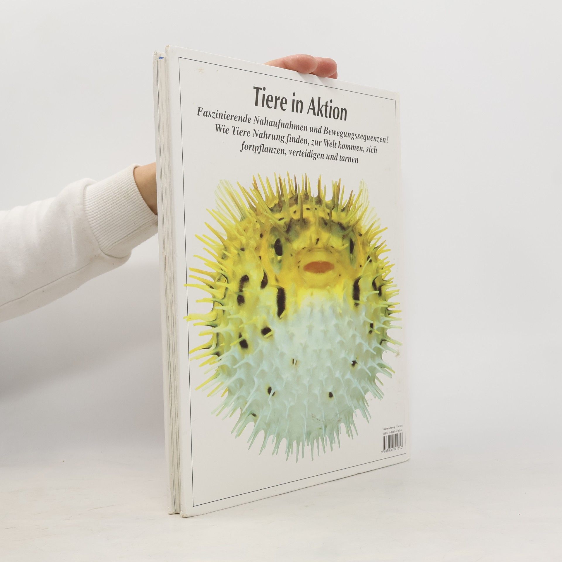 Steve Parker Geheimnisvolle Tierwelt