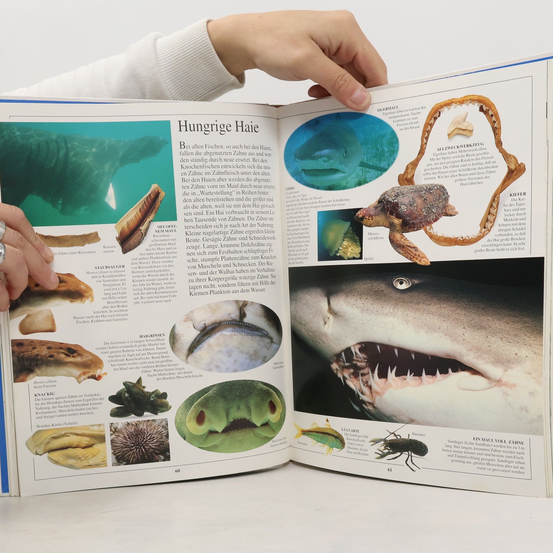 Steve Parker Geheimnisvolle Tierwelt