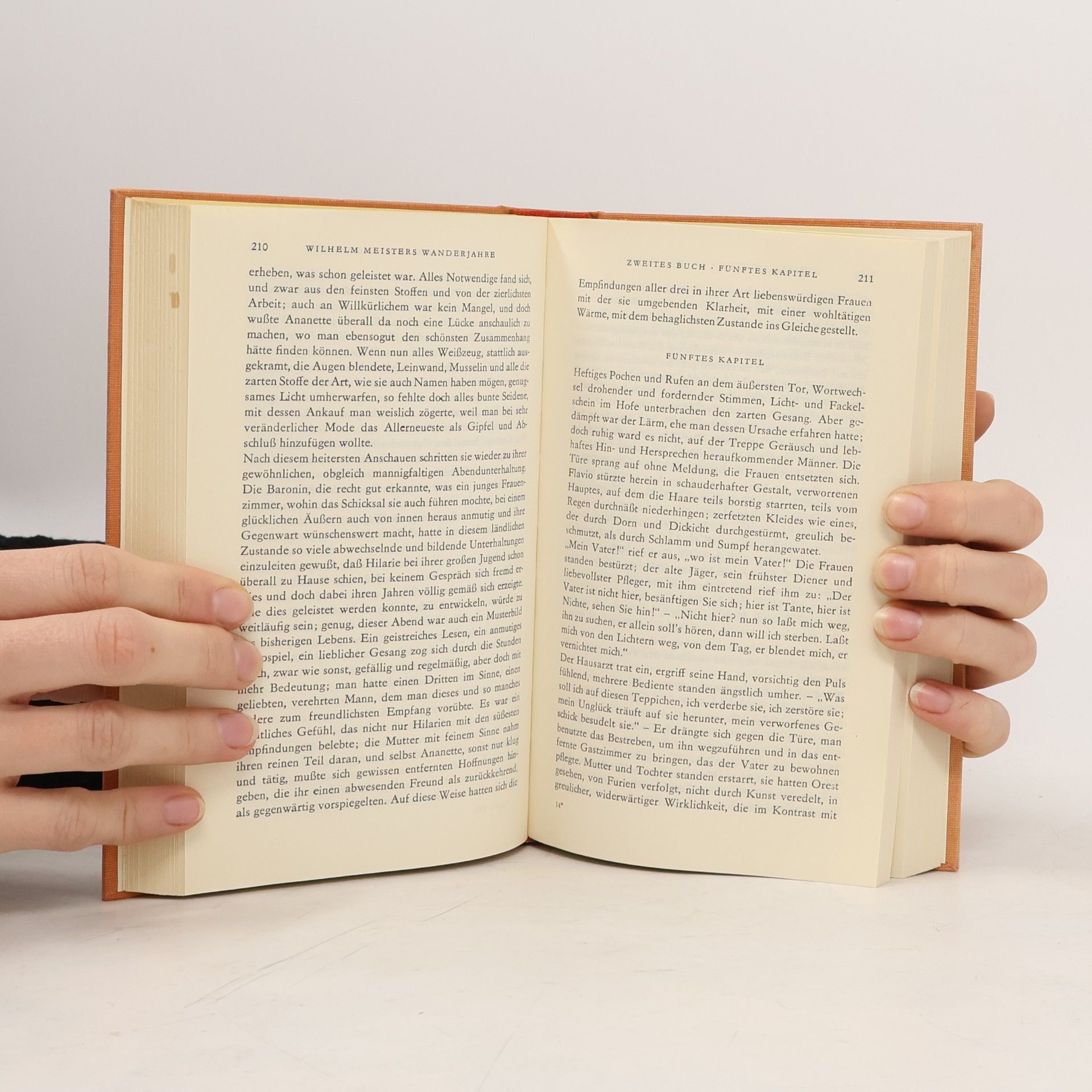 Johann Wolfgang von Goethe Goethes Werke 8