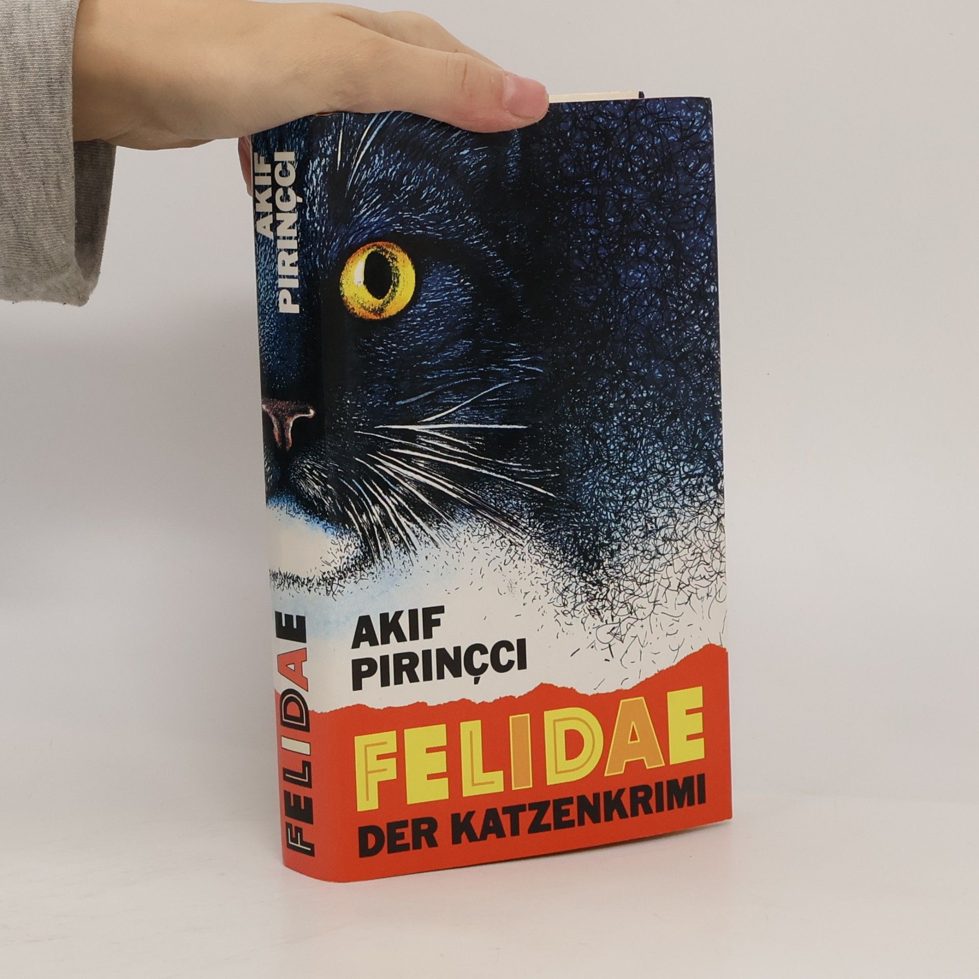 Felidae
