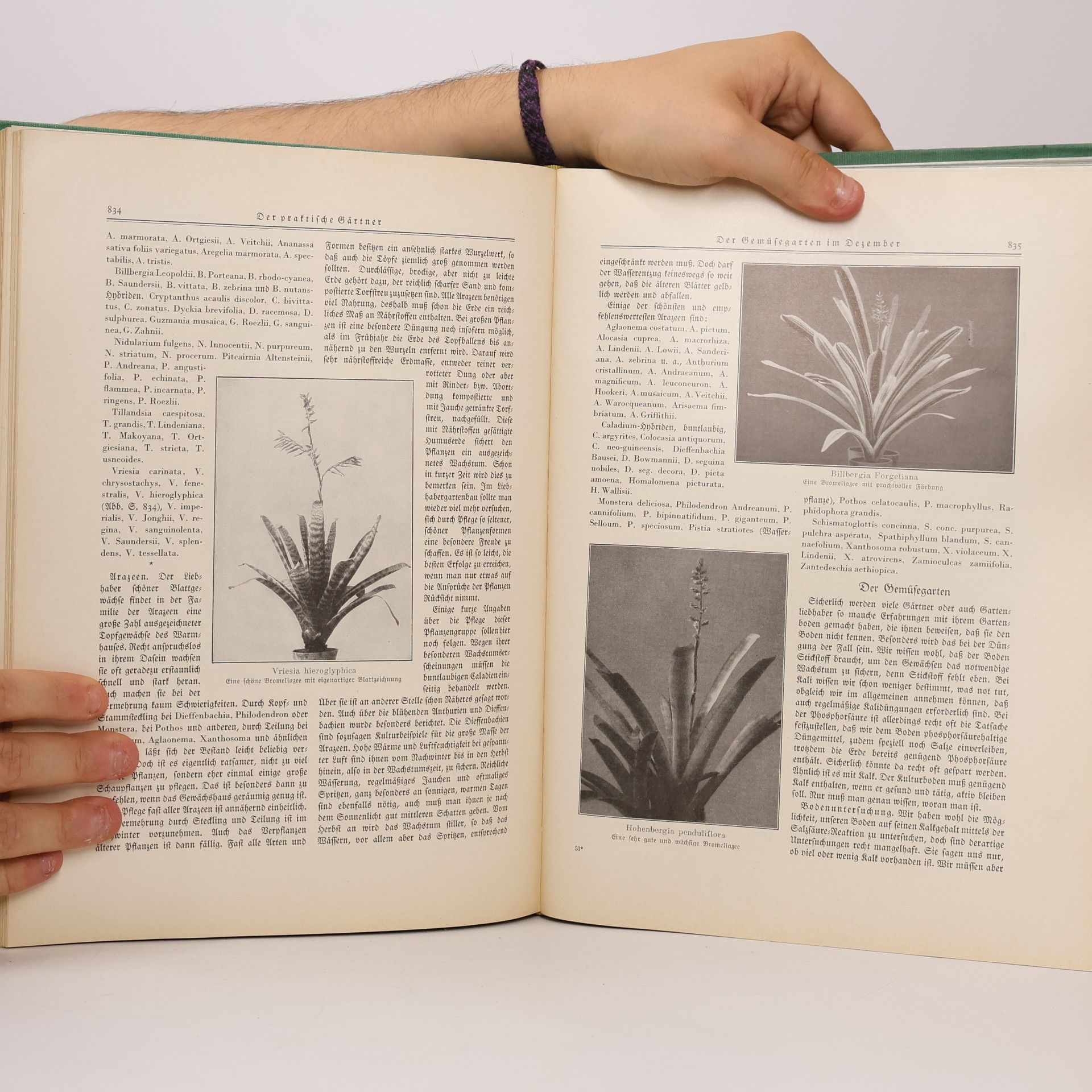 Various authors Der Garten und seine Jahreszeiten II.