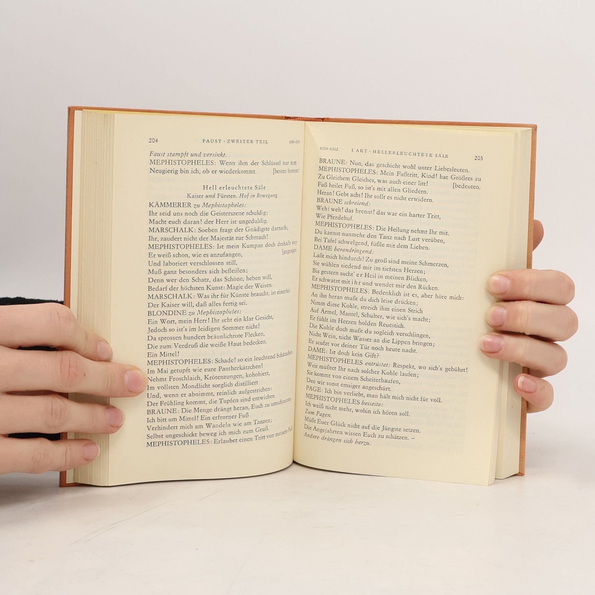 Johann Wolfgang von Goethe GOETHE 10