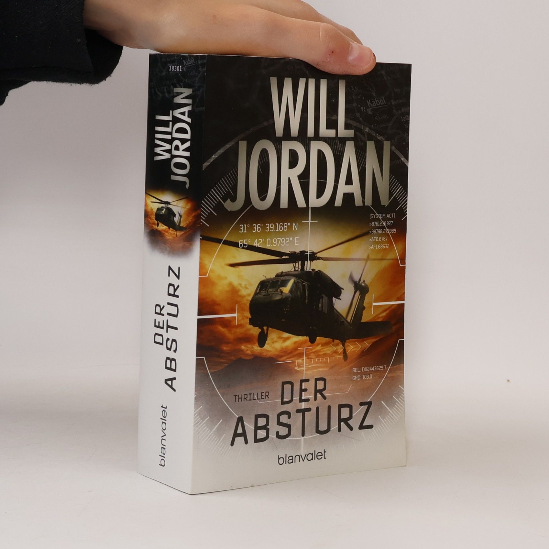 Der Absturz