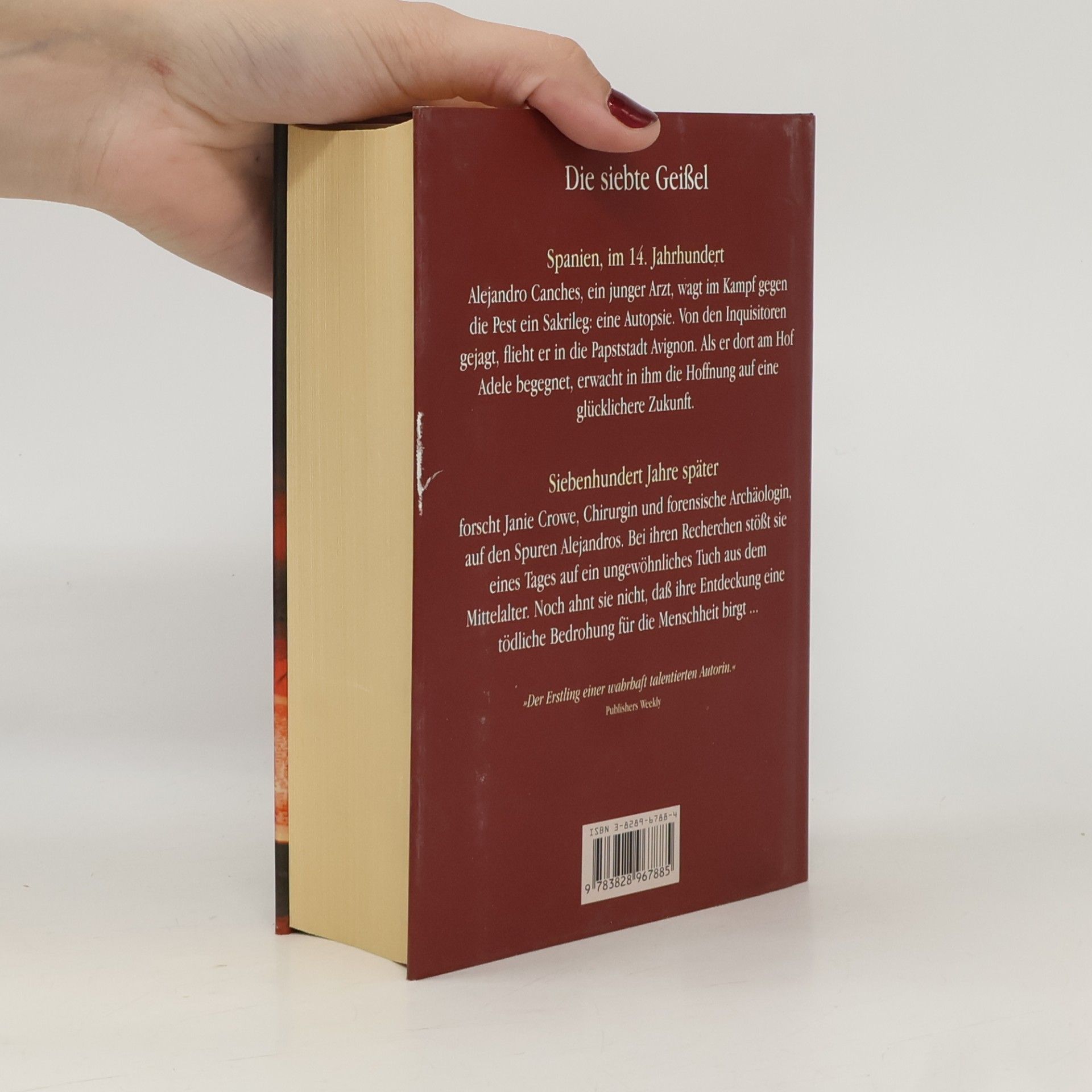 Ann Benson Die siebte Geissel