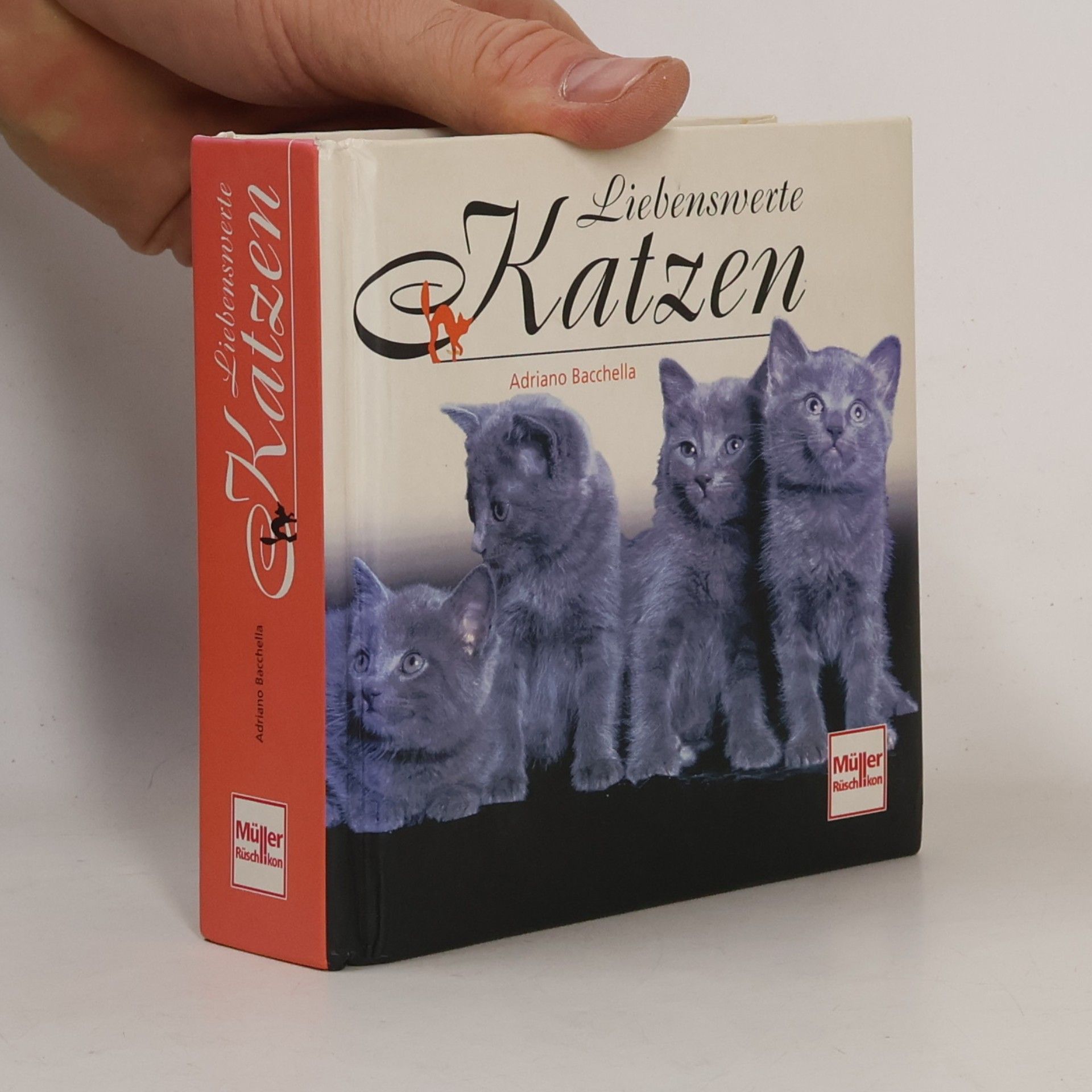 Liebenswerte Katzen