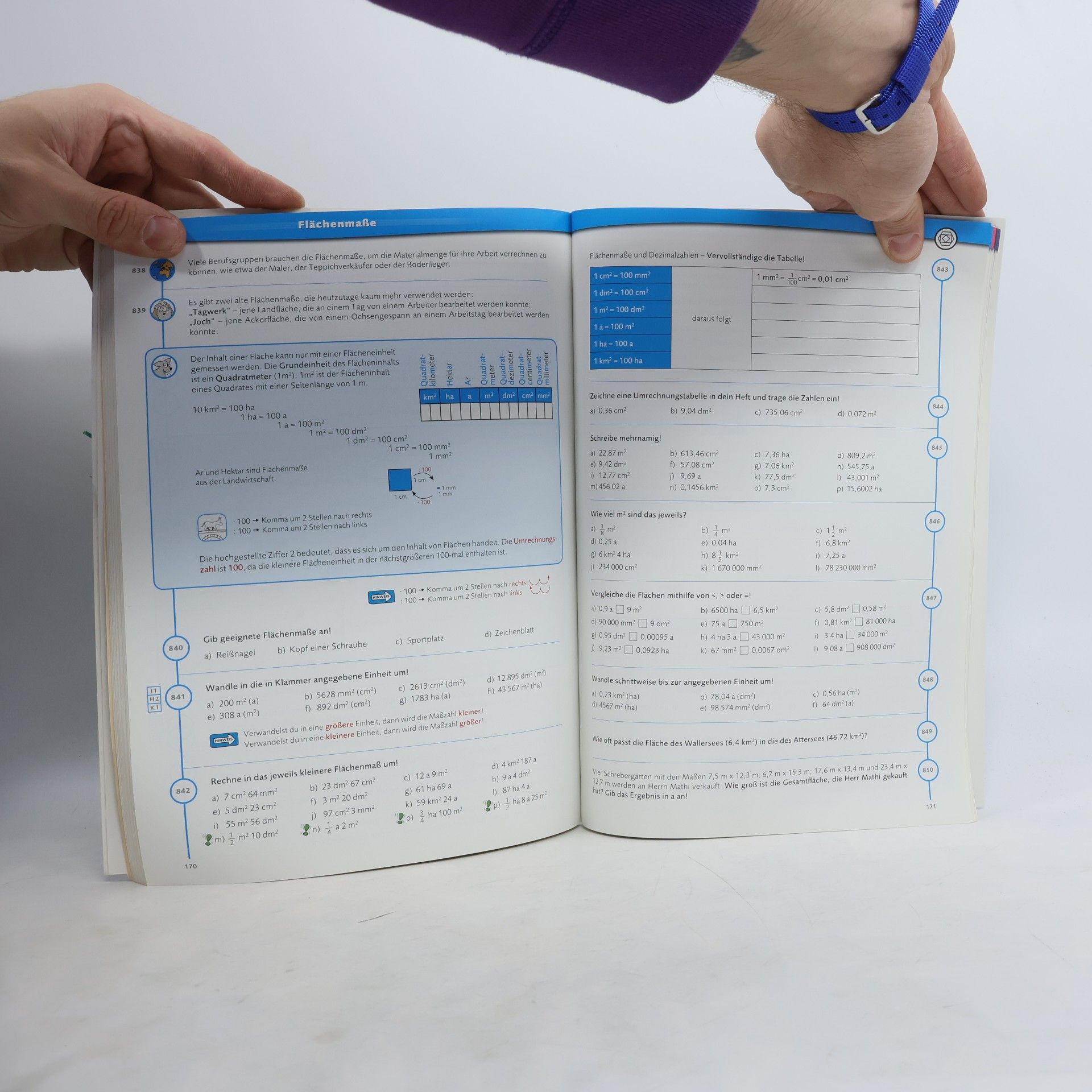 AA.VV. Ganz klar: Mathematik. 2 : Arbeitsbuch : [Bildungsstandards sicher erreichen]
