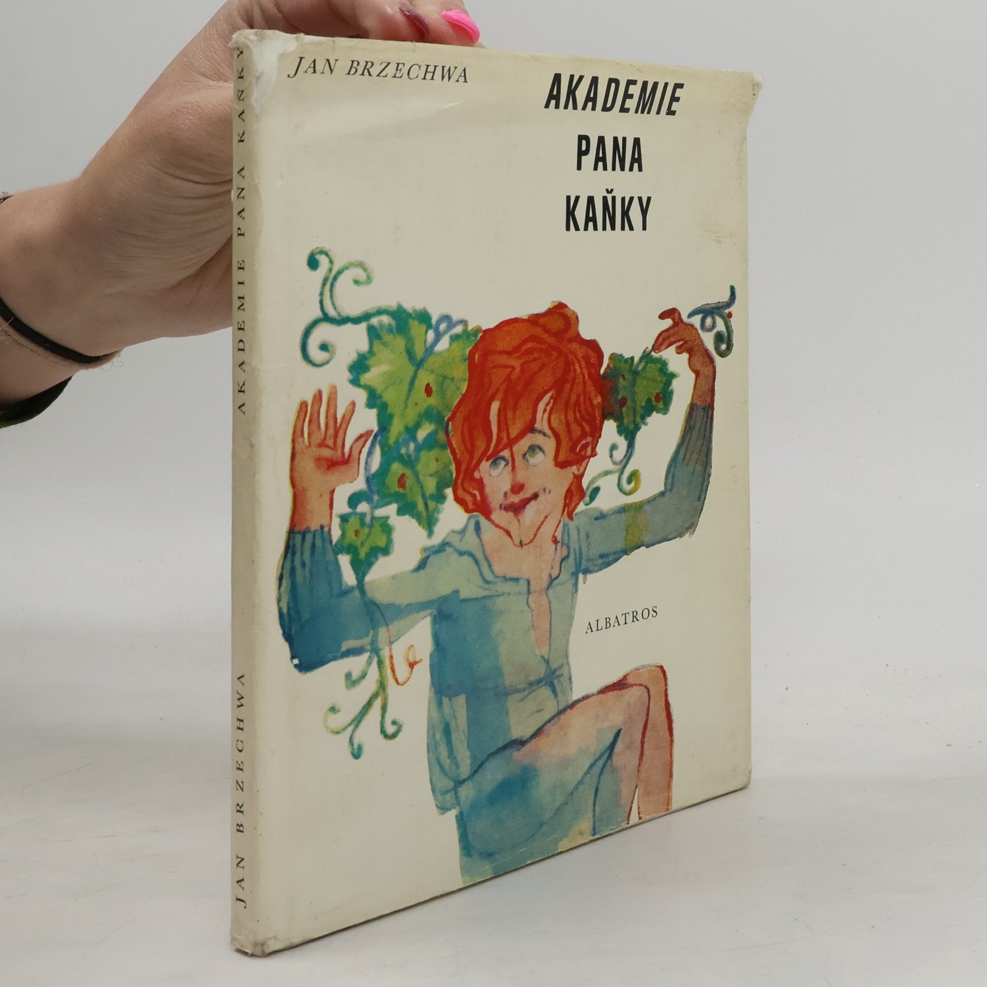 Akademie pana Kaňky