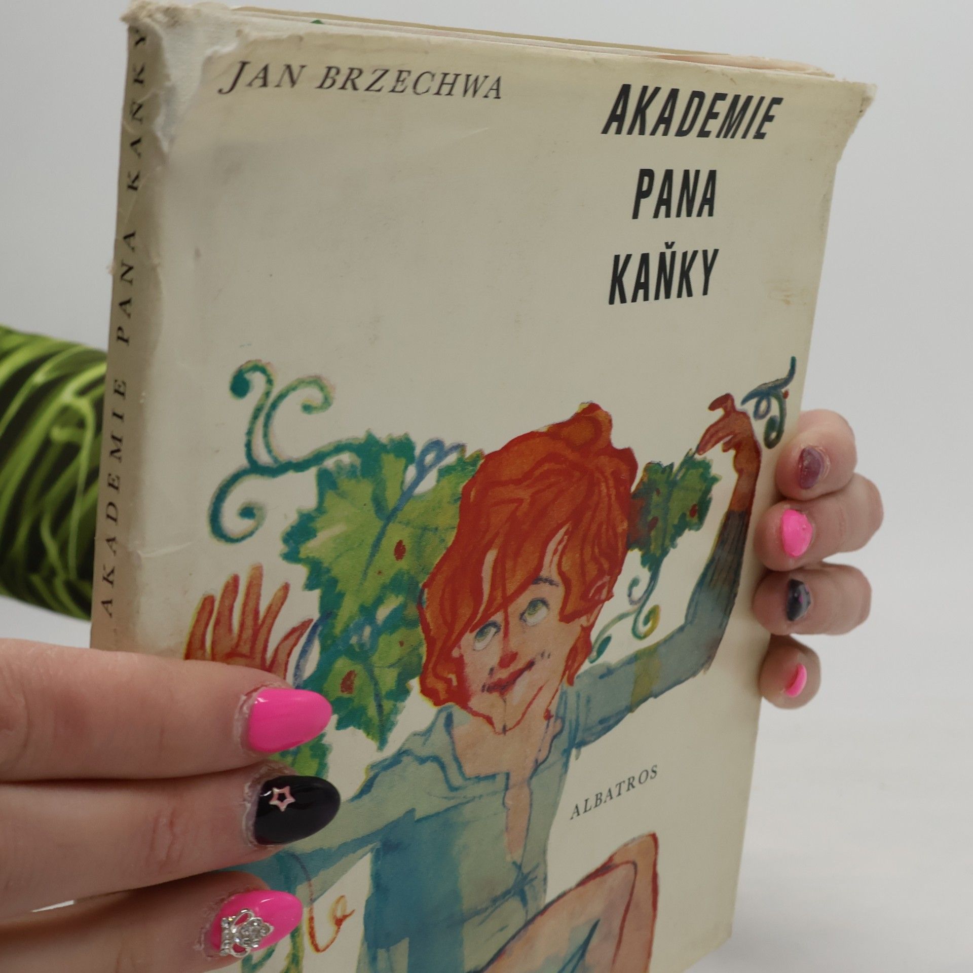 Jan Brzechwa Akademie pana Kaňky