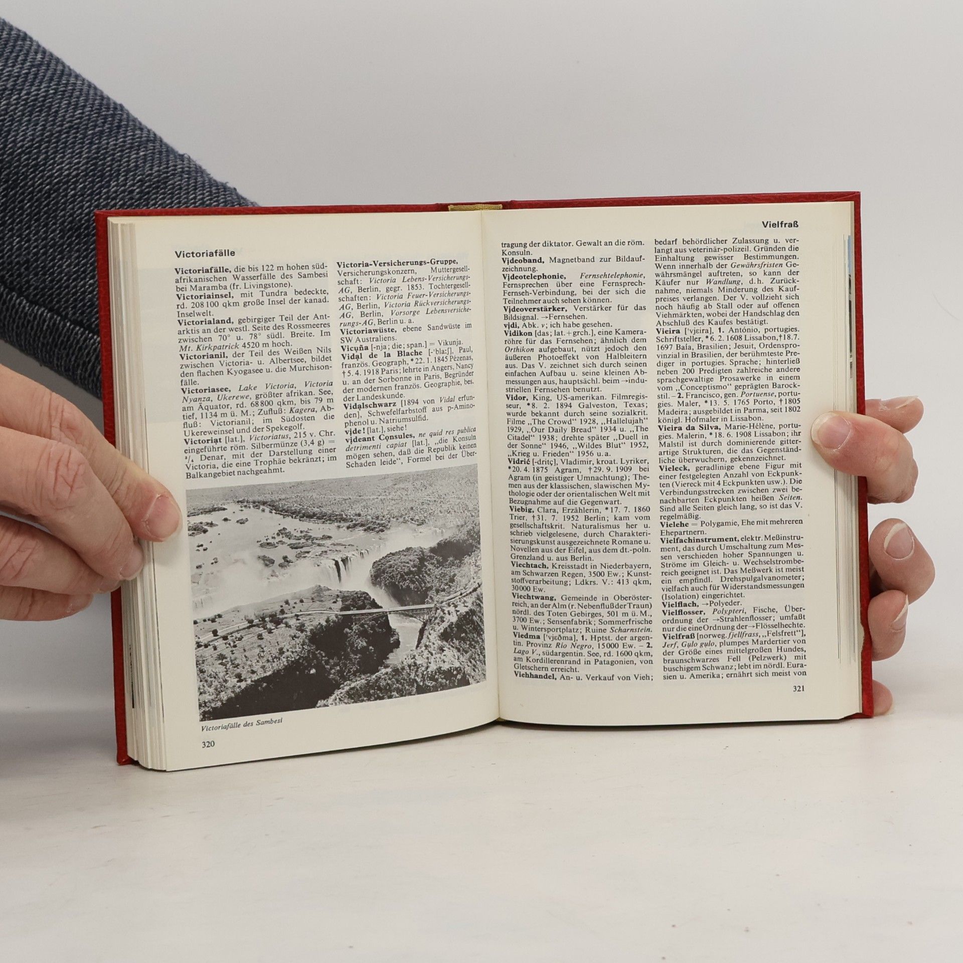 Kolektiv autorů Das moderne Lexikon Trier-Walh 19
