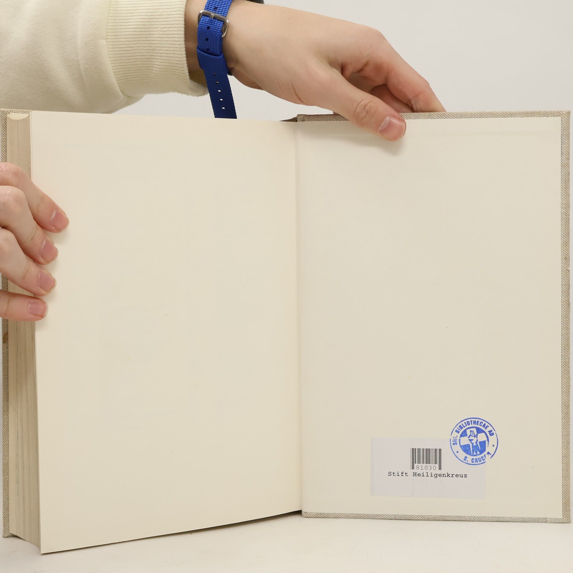 Autorenkollektiv Wissen Im ÜBerblick